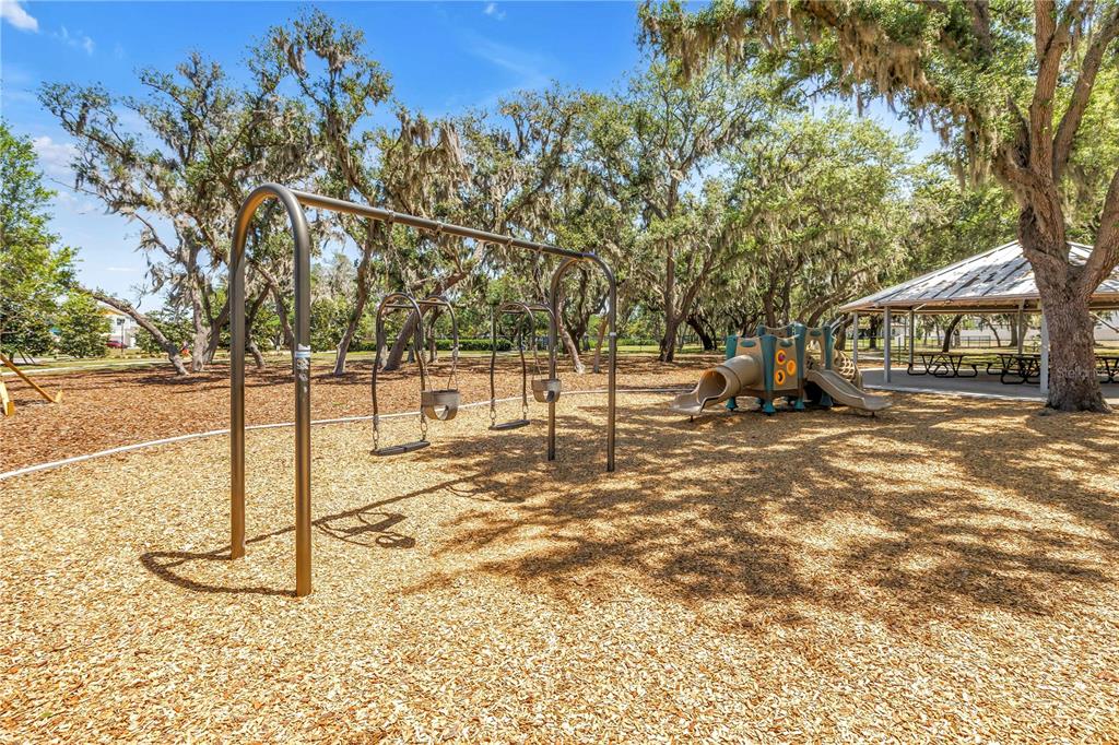 13229 Orca Sound Drive Riverview, FL 33579 - Photo 31 of 37 a view of a yard with plants and trees