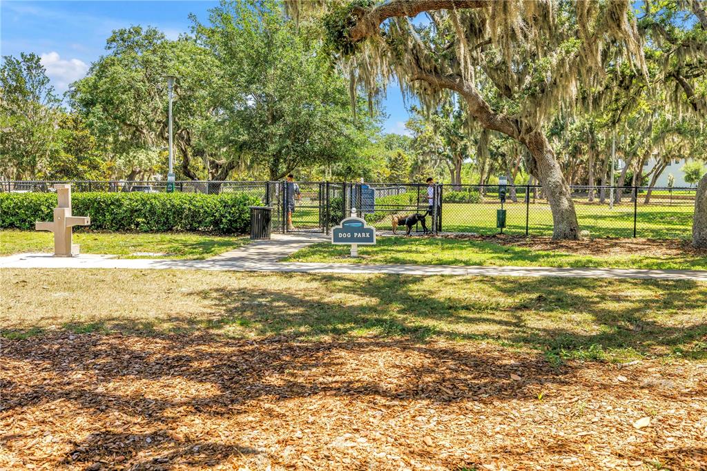 13229 Orca Sound Drive Riverview, FL 33579 - Photo 32 of 37 a swimming pool that has lawn chairs under an umbrella