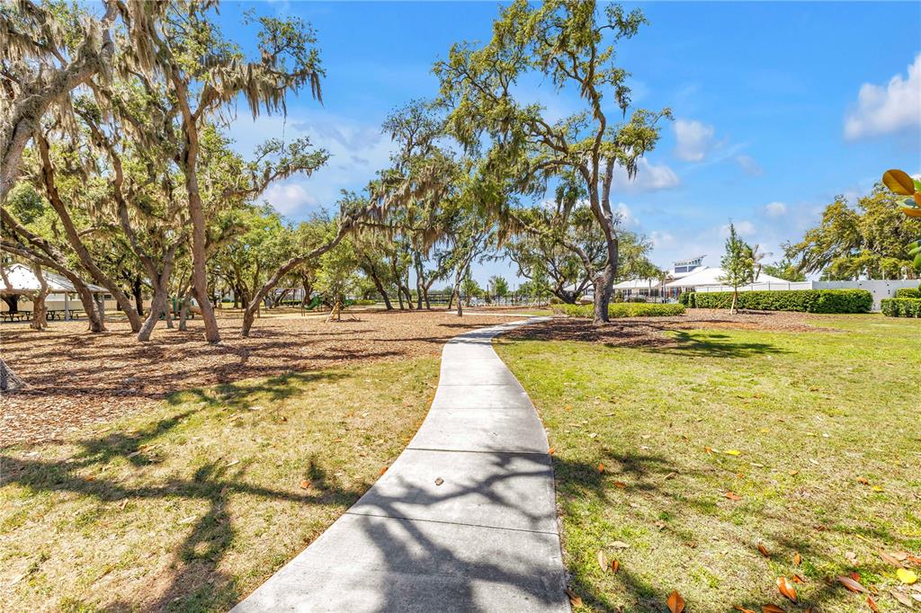 13229 Orca Sound Drive Riverview, FL 33579 - Photo 33 of 37 a view of swimming pool with an outdoor space