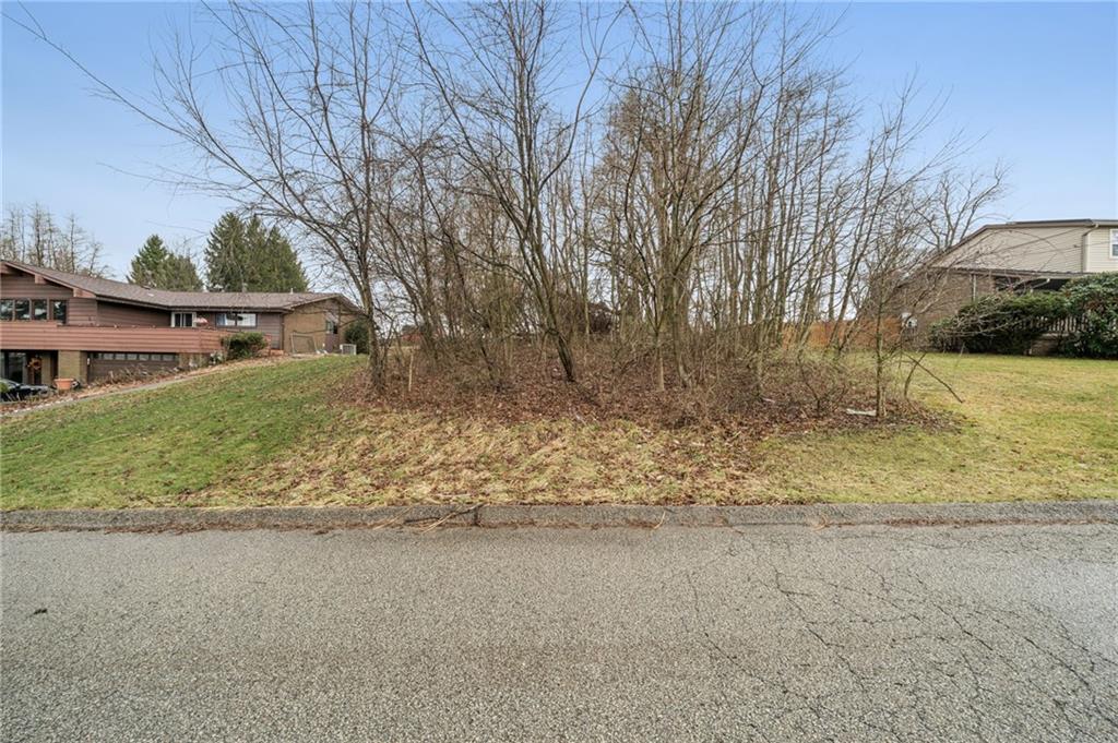 1810 Naser Road North Versailles, PA 15137 - Photo 12 of 14 a view of a yard with large tree