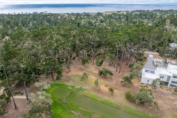 an aerial view of residential houses with outdoor space and trees