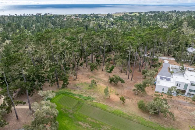 an aerial view of residential houses with outdoor space and trees