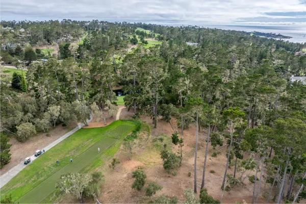 a view of a forest with a yard