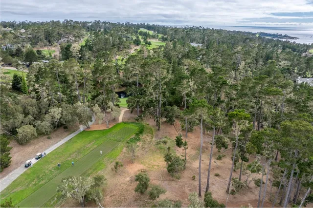 a view of a forest with a yard