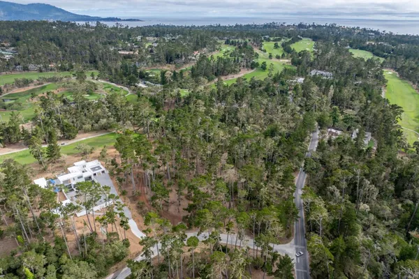 an aerial view of forest