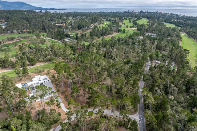 an aerial view of forest