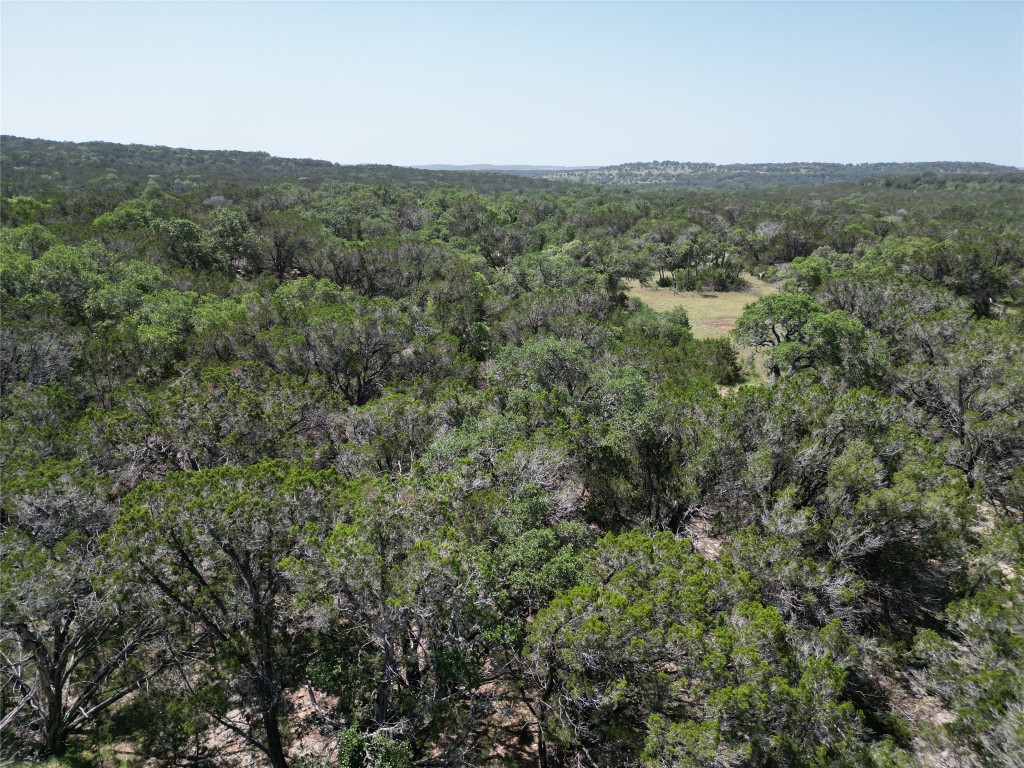 2-10 Acres Cambridge Road Wimberley, TX 78676 - Photo 2 of 13 a view of a green field with lots of bushes