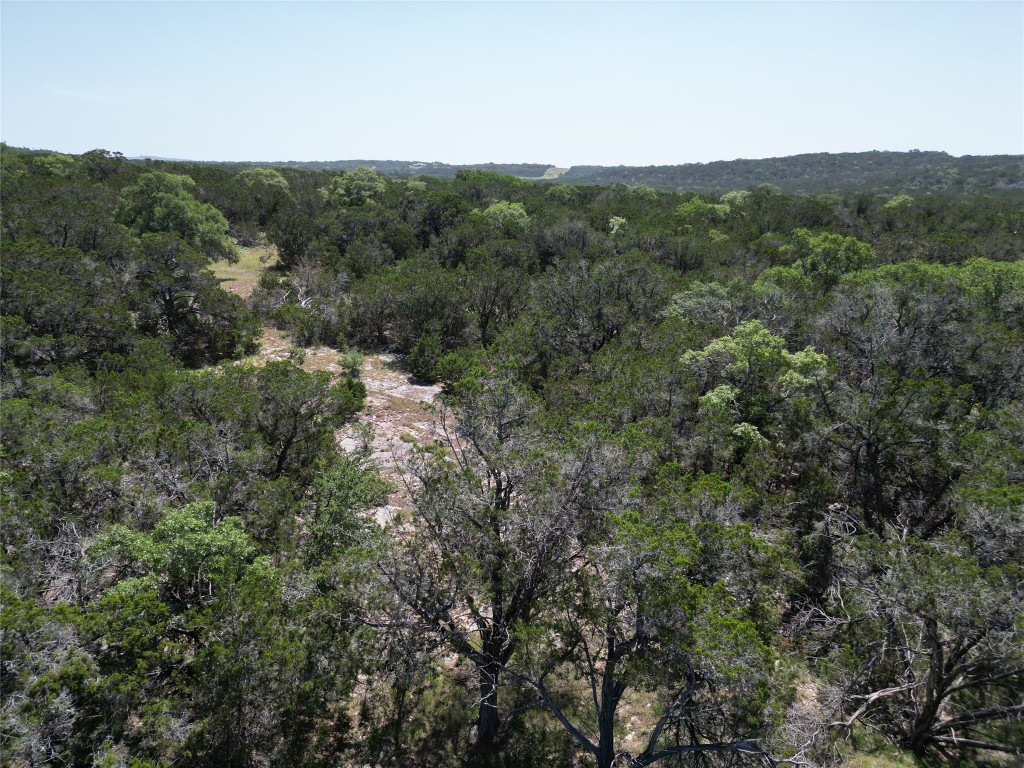 2-10 Acres Cambridge Road Wimberley, TX 78676 - Photo 3 of 13 a view of a forest with a street