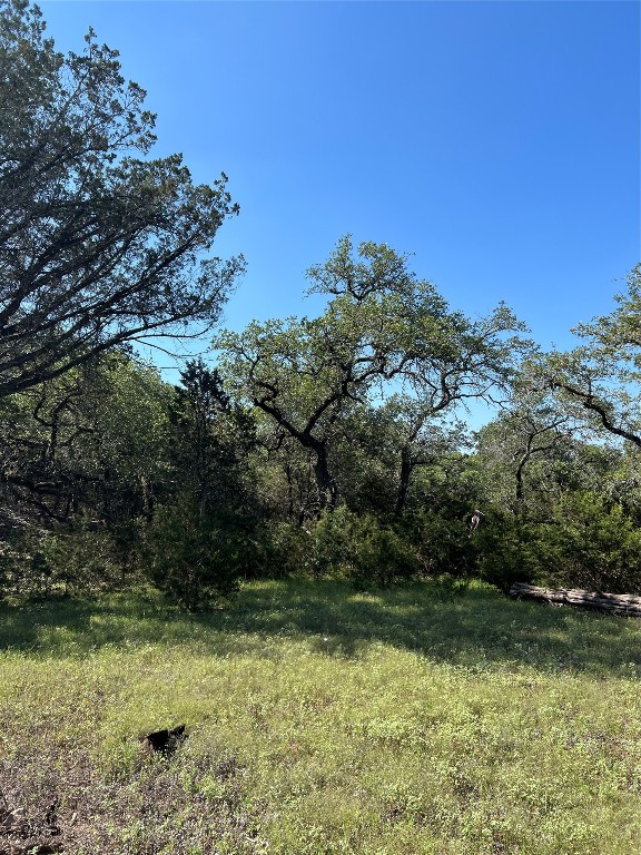 2-10 Acres Cambridge Road Wimberley, TX 78676 - Photo 4 of 13 a view of a garden