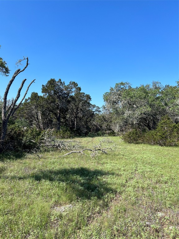 2-10 Acres Cambridge Road Wimberley, TX 78676 - Photo 5 of 13 a view of a field with plants and trees
