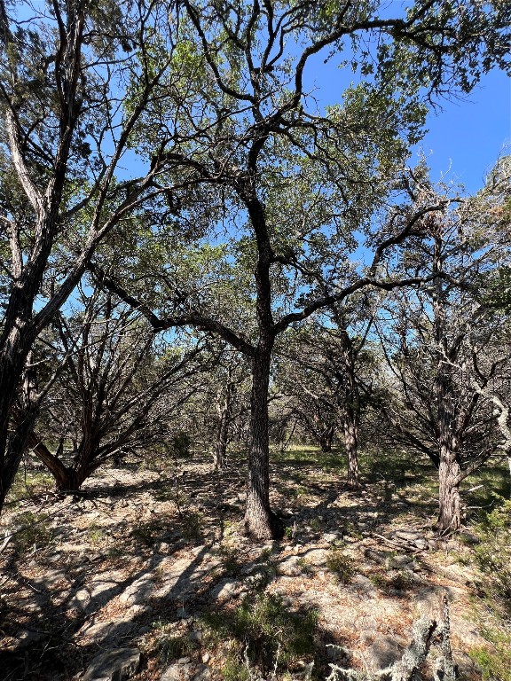 2-10 Acres Cambridge Road Wimberley, TX 78676 - Photo 7 of 13 a picture of tree