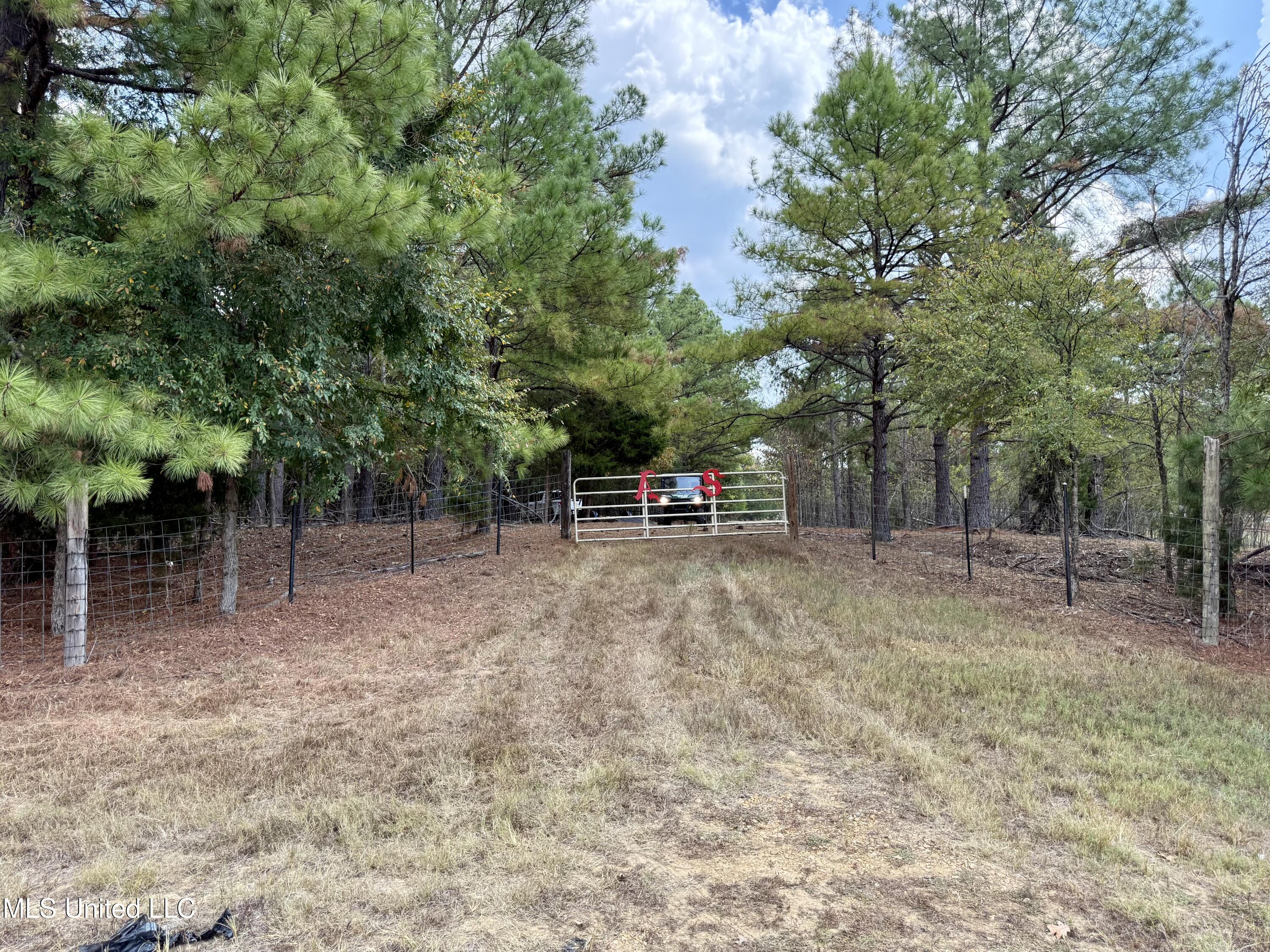 Photo Sep 18 2025, 12 37 16 PM