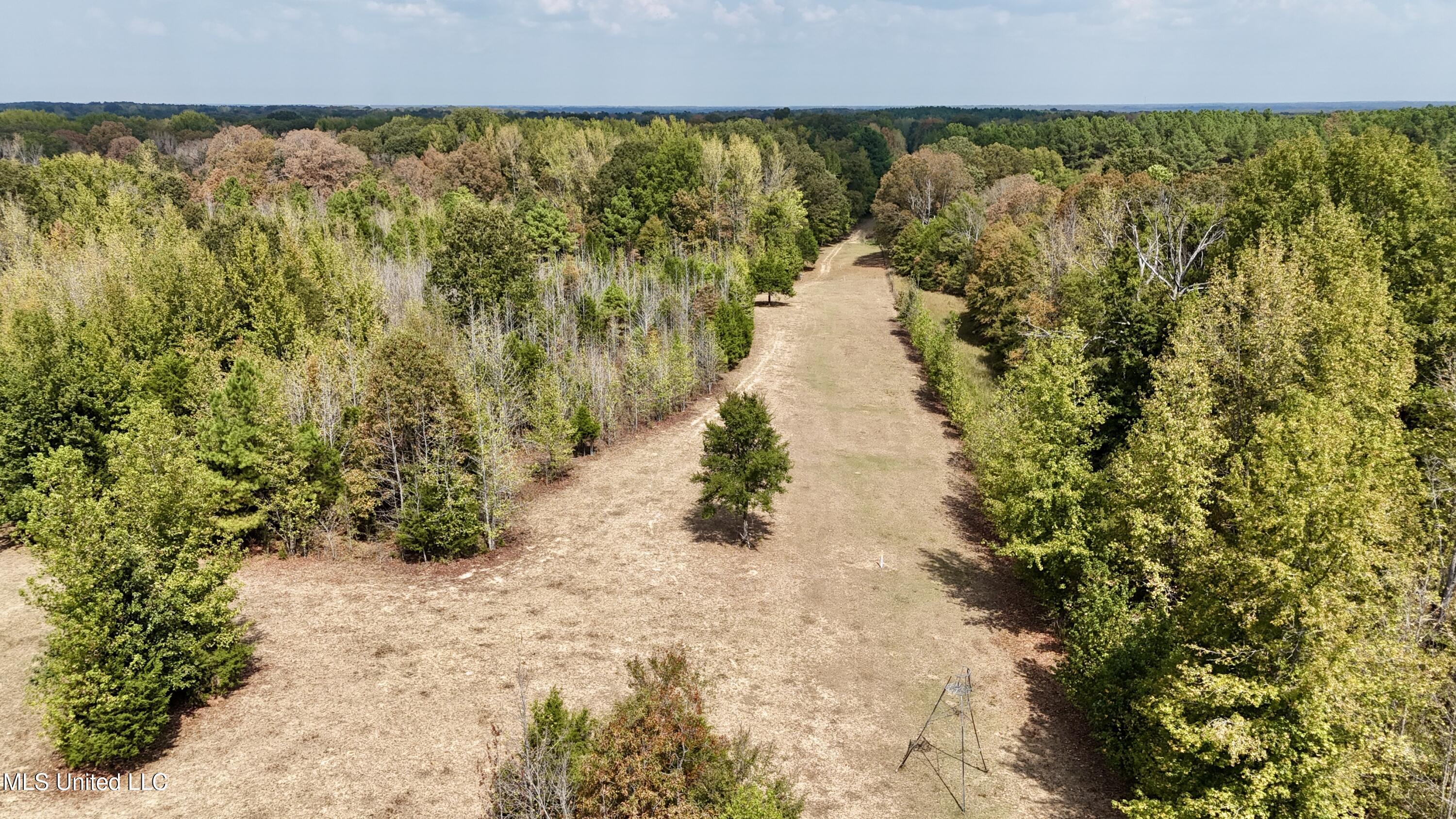 250 Mays Road Coldwater, MS 38618 - Photo 13 of 46 Photo Sep 18 2025, 12 29 49 PM