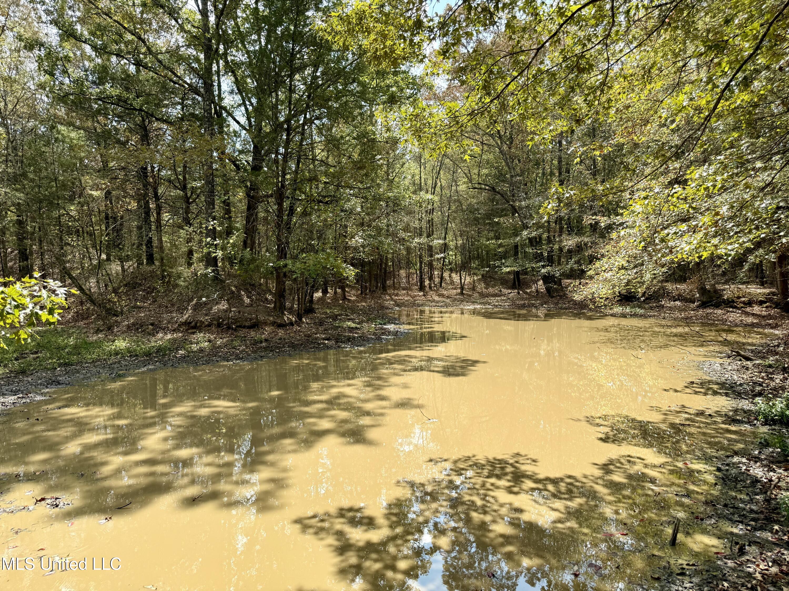 250 Mays Road Coldwater, MS 38618 - Photo 18 of 46 Photo Sep 18 2025, 12 23 29 PM