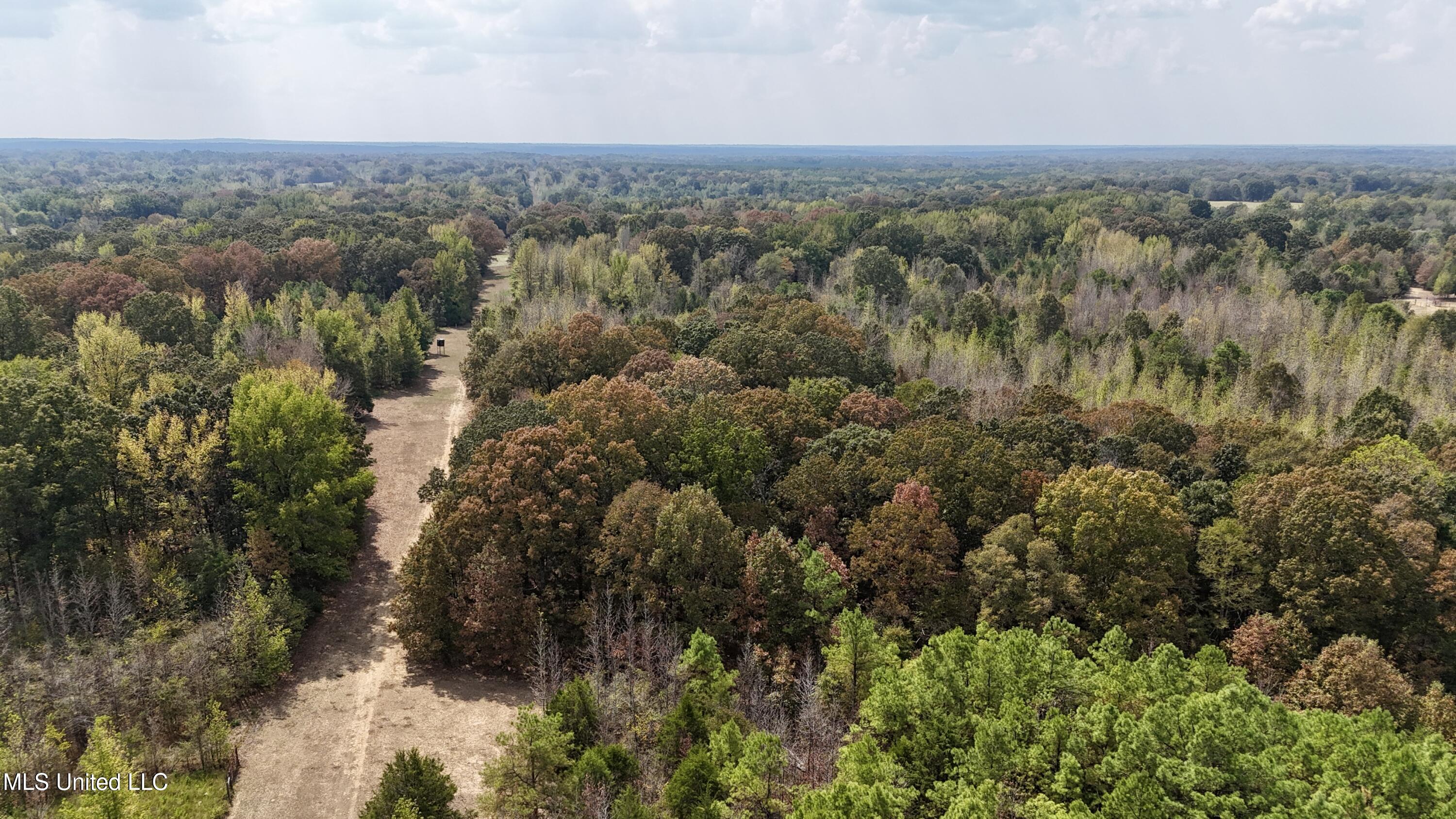 250 Mays Road Coldwater, MS 38618 - Photo 2 of 46 Photo Sep 18 2025, 12 26 32 PM