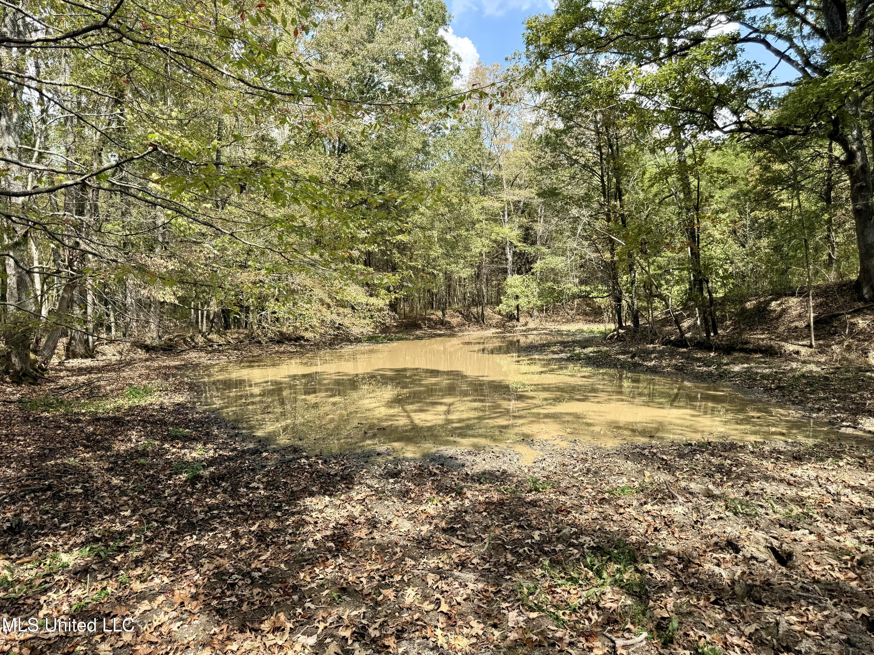 250 Mays Road Coldwater, MS 38618 - Photo 21 of 46 Photo Sep 18 2025, 12 24 31 PM