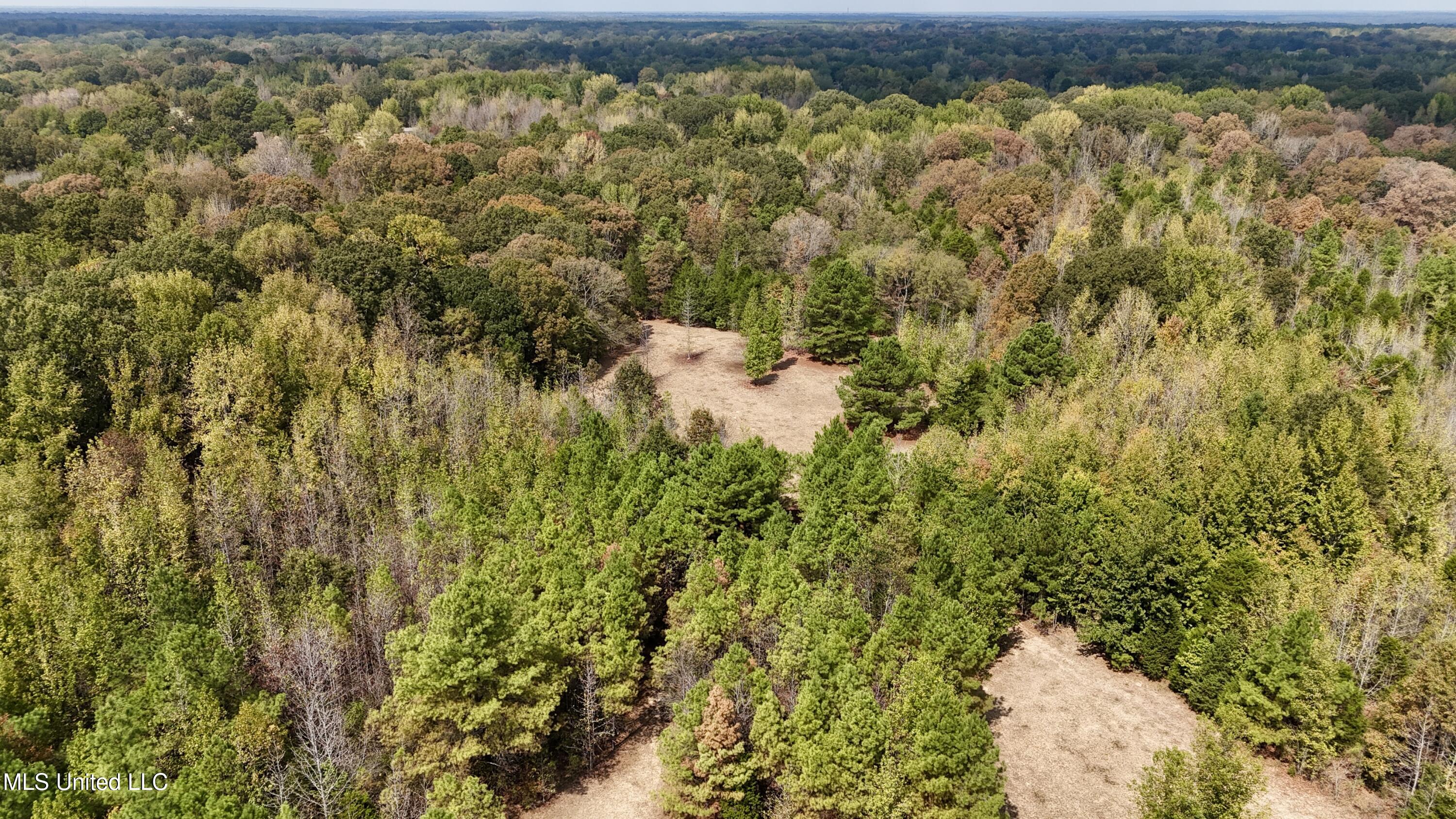 250 Mays Road Coldwater, MS 38618 - Photo 24 of 46 Photo Sep 18 2025, 12 26 21 PM