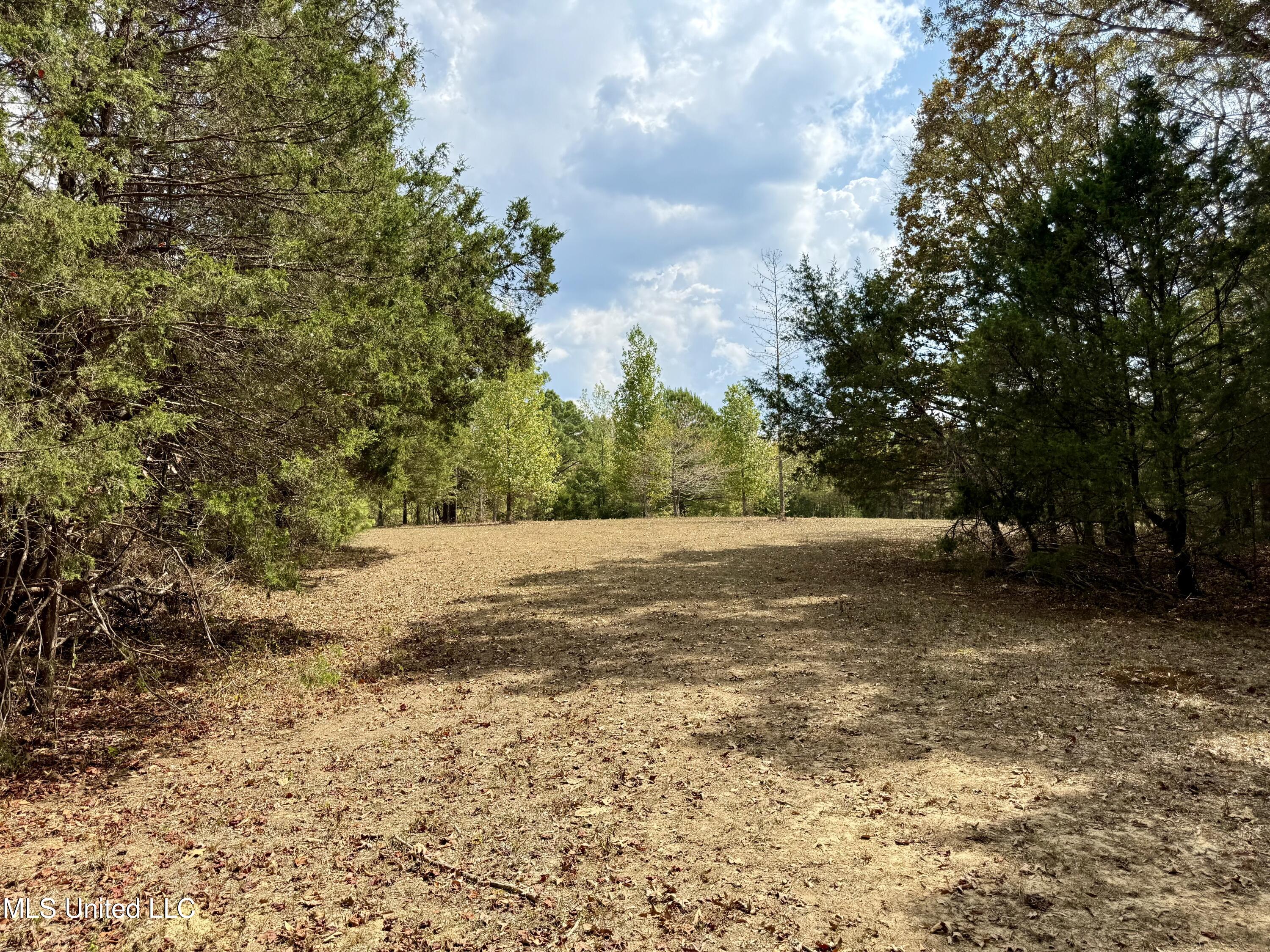 250 Mays Road Coldwater, MS 38618 - Photo 27 of 46 Photo Sep 18 2025, 12 26 41 PM