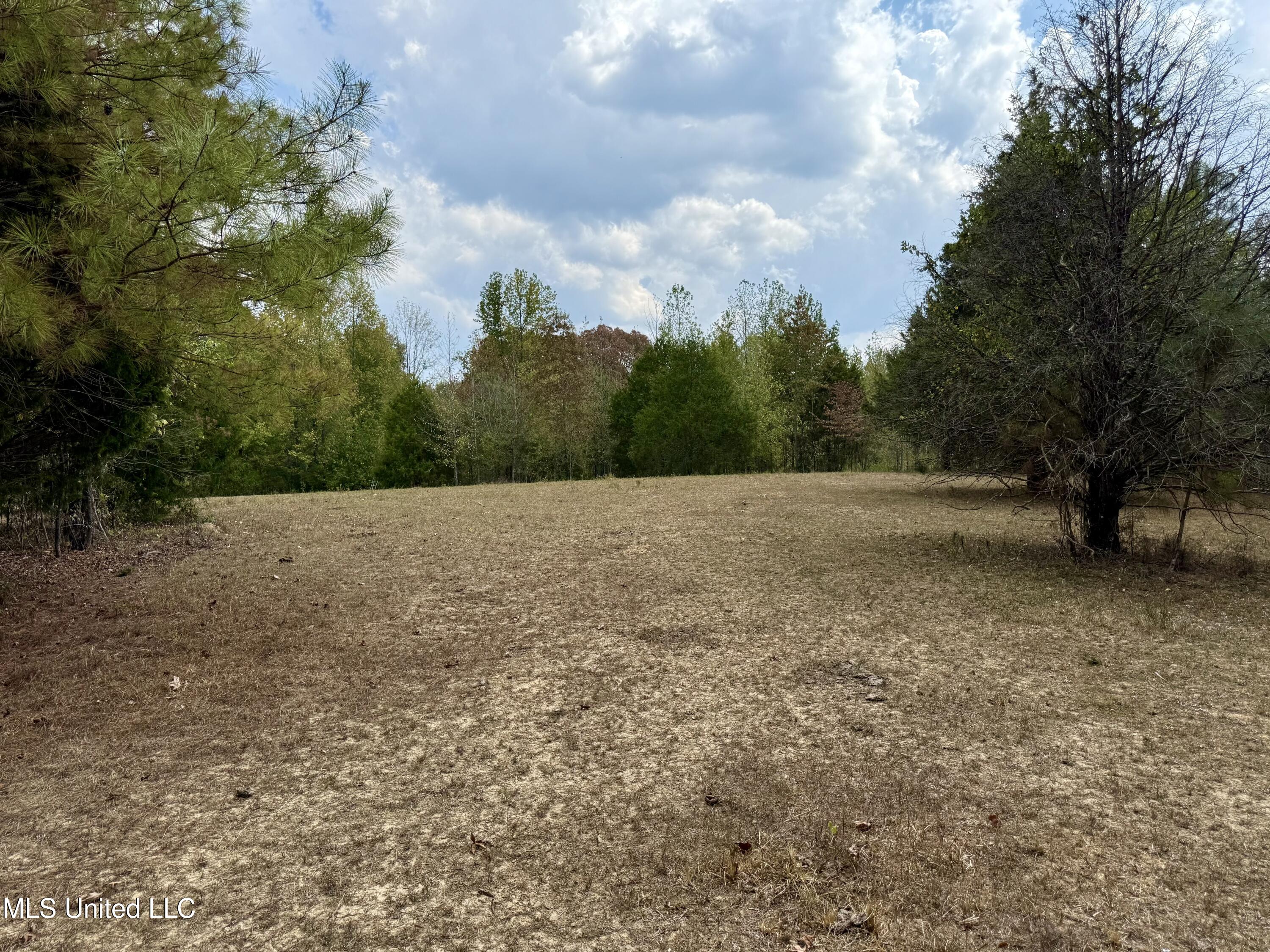 250 Mays Road Coldwater, MS 38618 - Photo 30 of 46 Photo Sep 18 2025, 12 28 02 PM