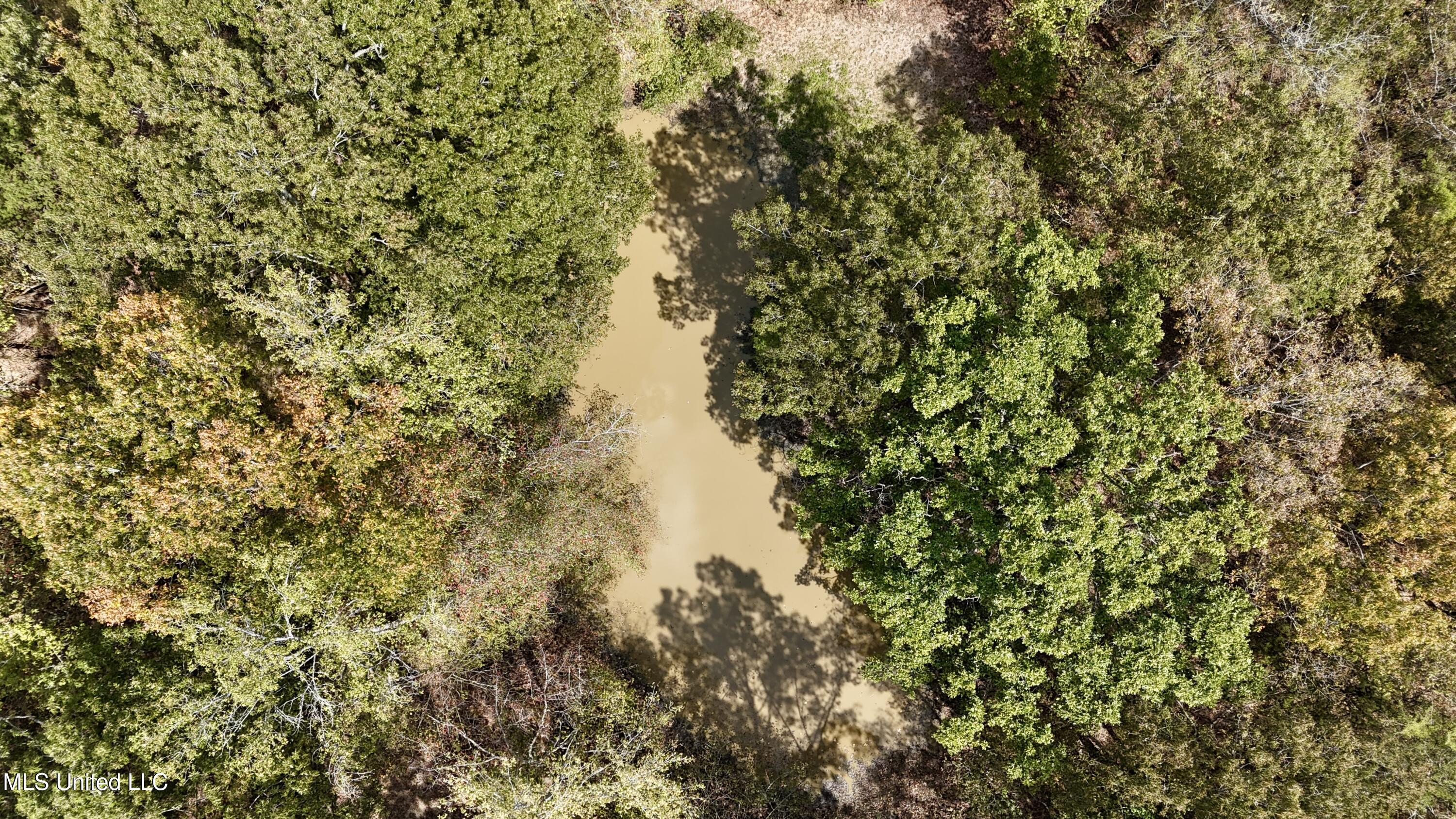 250 Mays Road Coldwater, MS 38618 - Photo 31 of 46 Photo Sep 18 2025, 12 28 39 PM