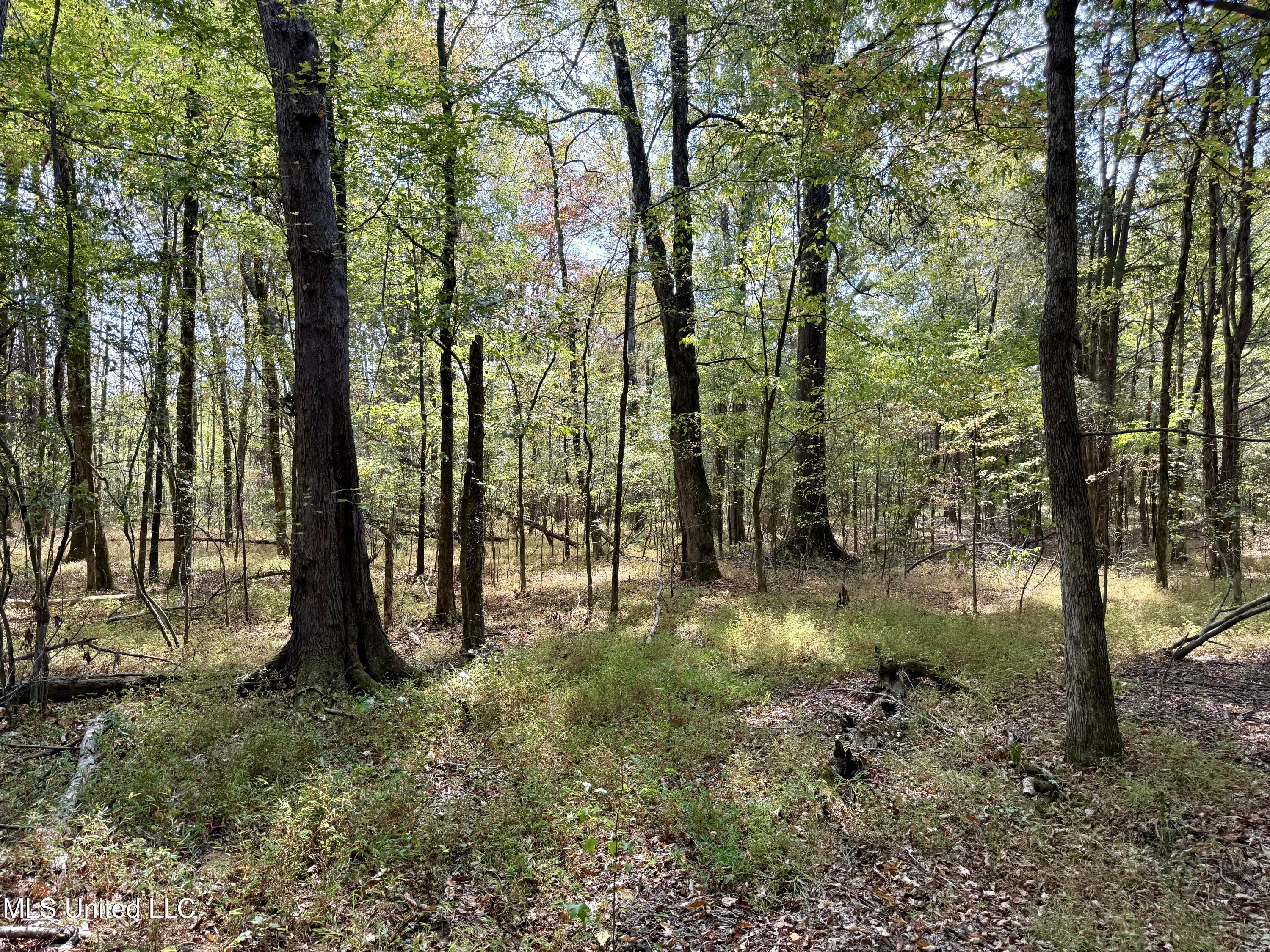 250 Mays Road Coldwater, MS 38618 - Photo 34 of 46 Photo Sep 18 2025, 11 45 00 AM