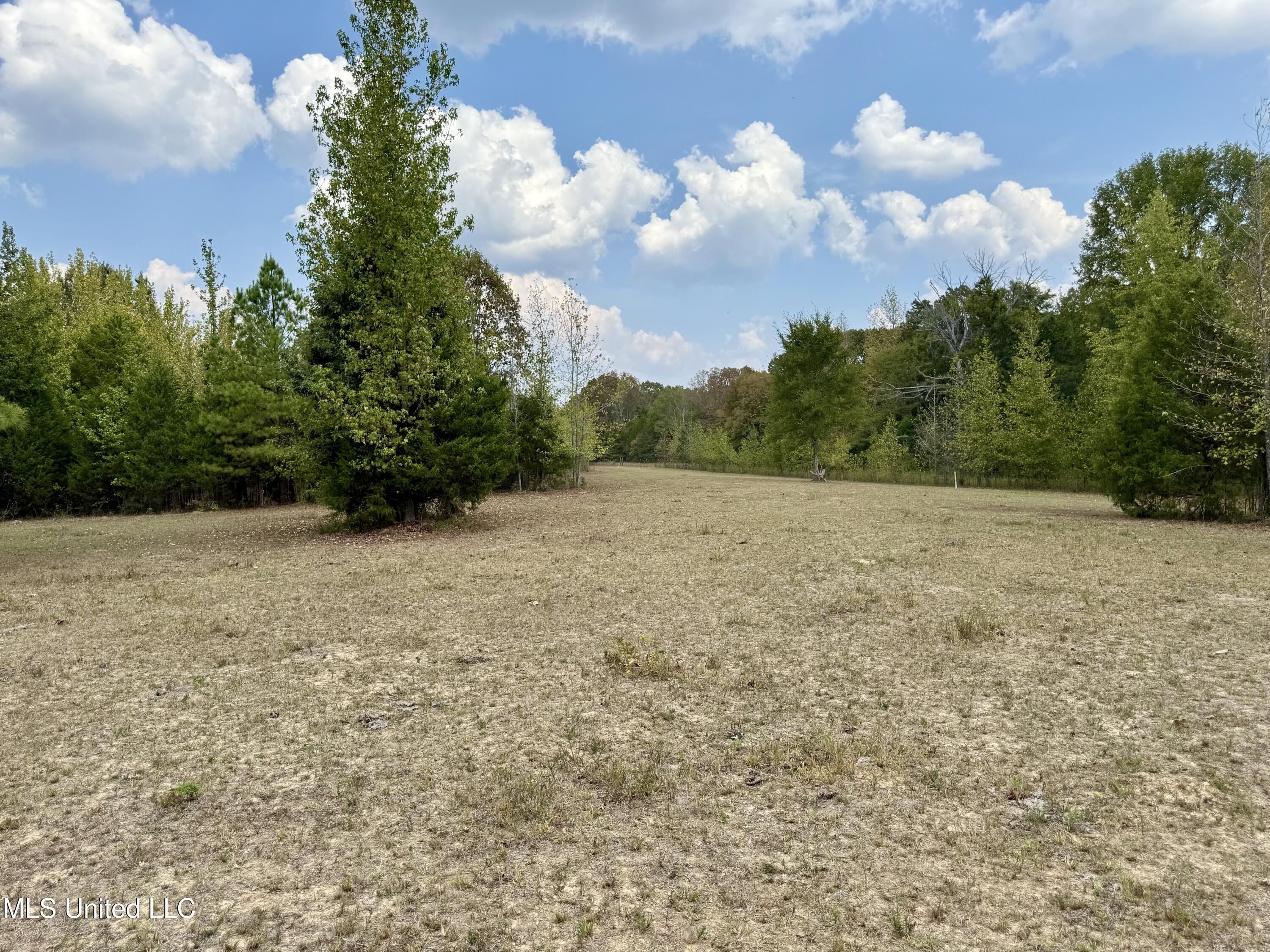 250 Mays Road Coldwater, MS 38618 - Photo 35 of 46 Photo Sep 18 2025, 12 30 25 PM