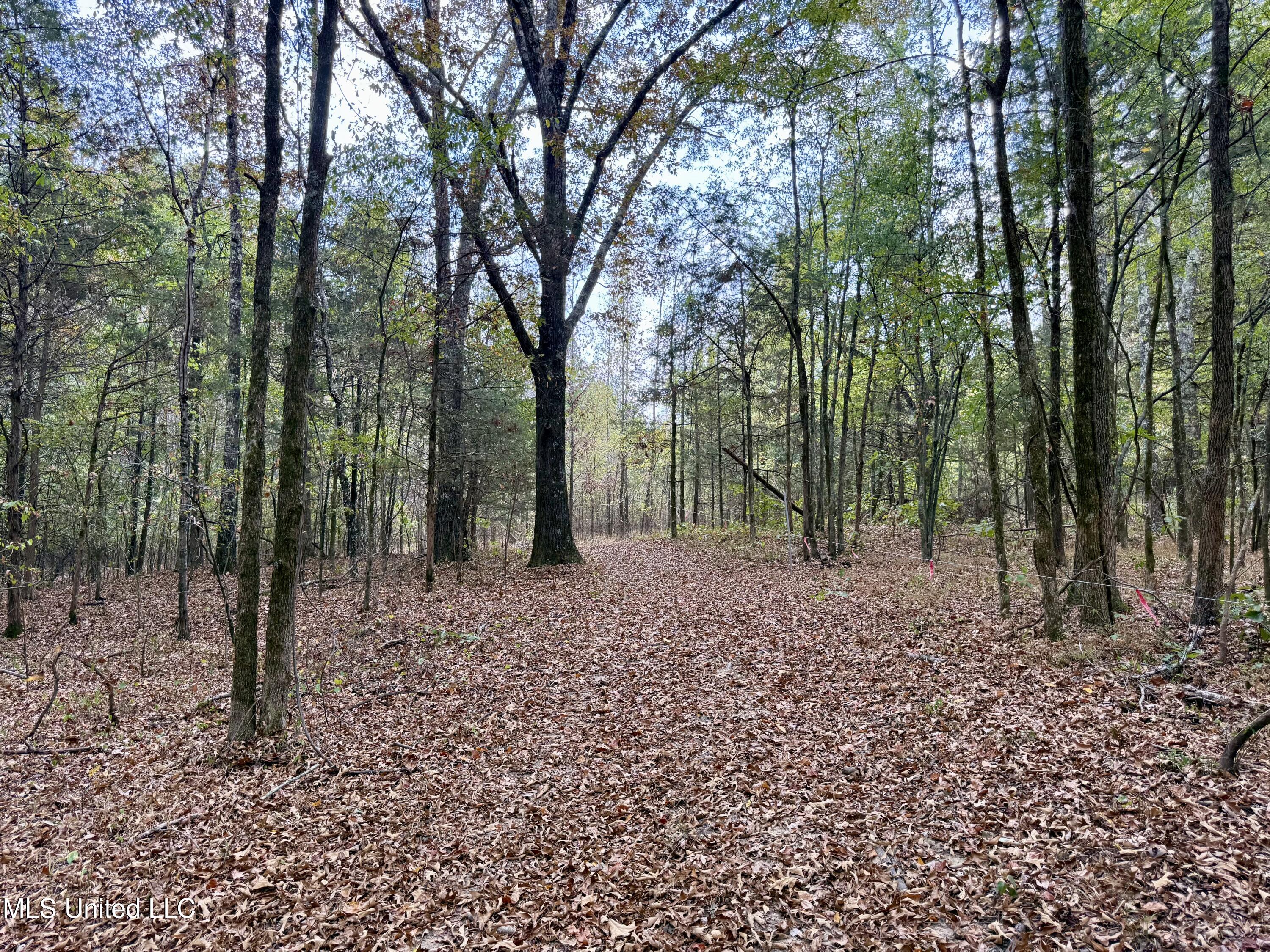 250 Mays Road Coldwater, MS 38618 - Photo 38 of 46 Photo Sep 18 2025, 12 31 37 PM