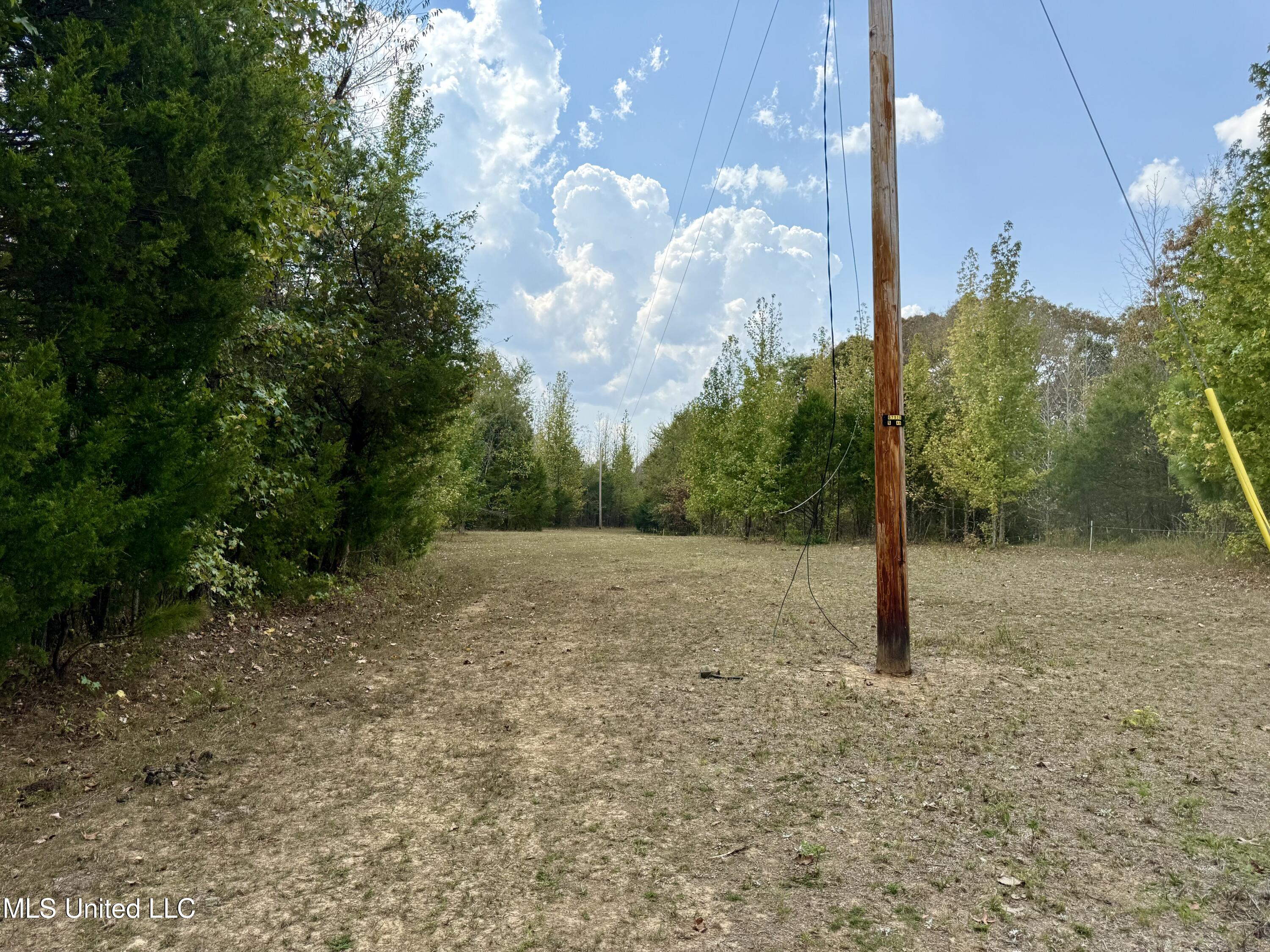 250 Mays Road Coldwater, MS 38618 - Photo 41 of 46 Photo Sep 18 2025, 12 32 32 PM