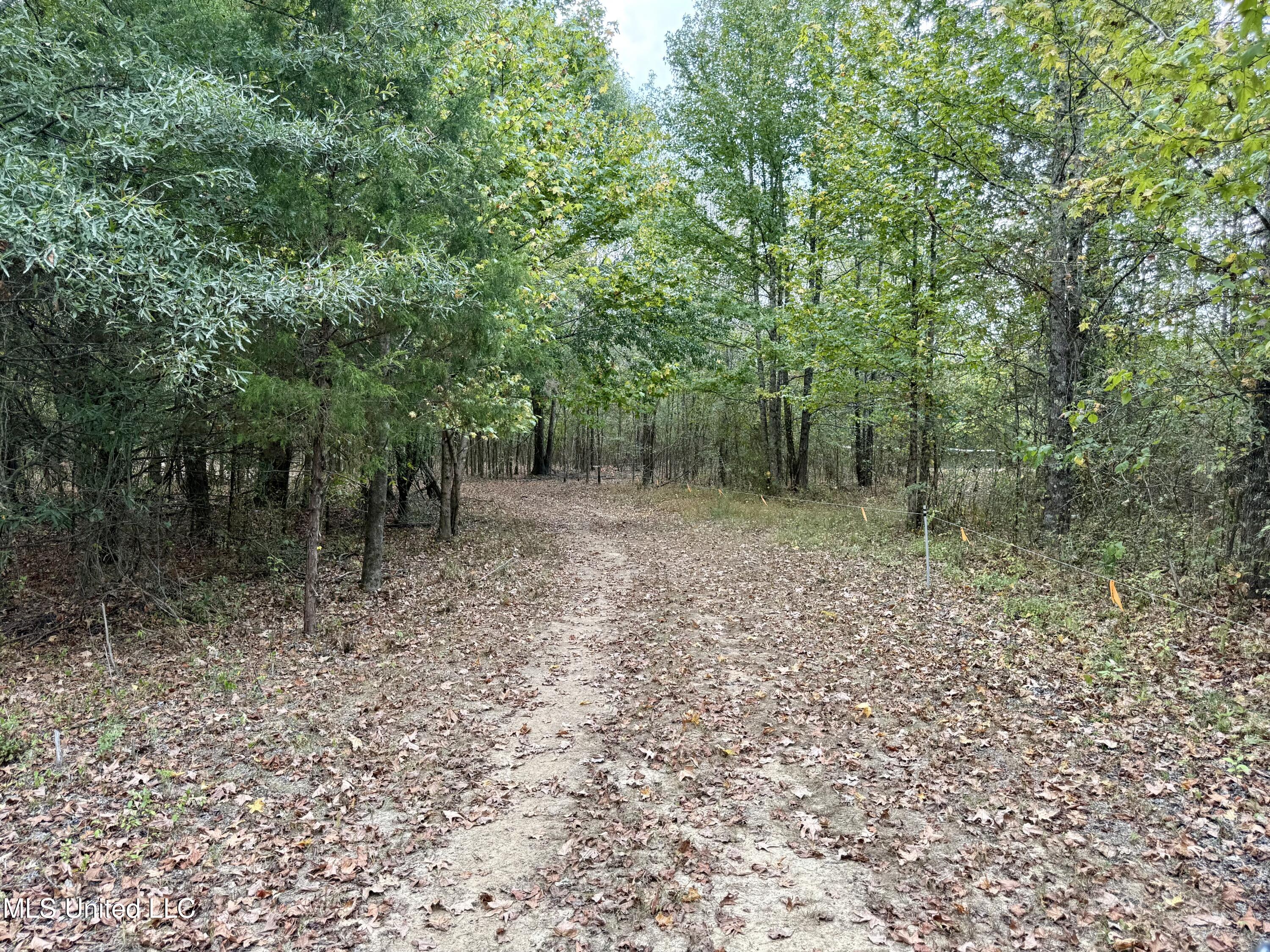 250 Mays Road Coldwater, MS 38618 - Photo 42 of 46 Photo Sep 18 2025, 12 33 09 PM