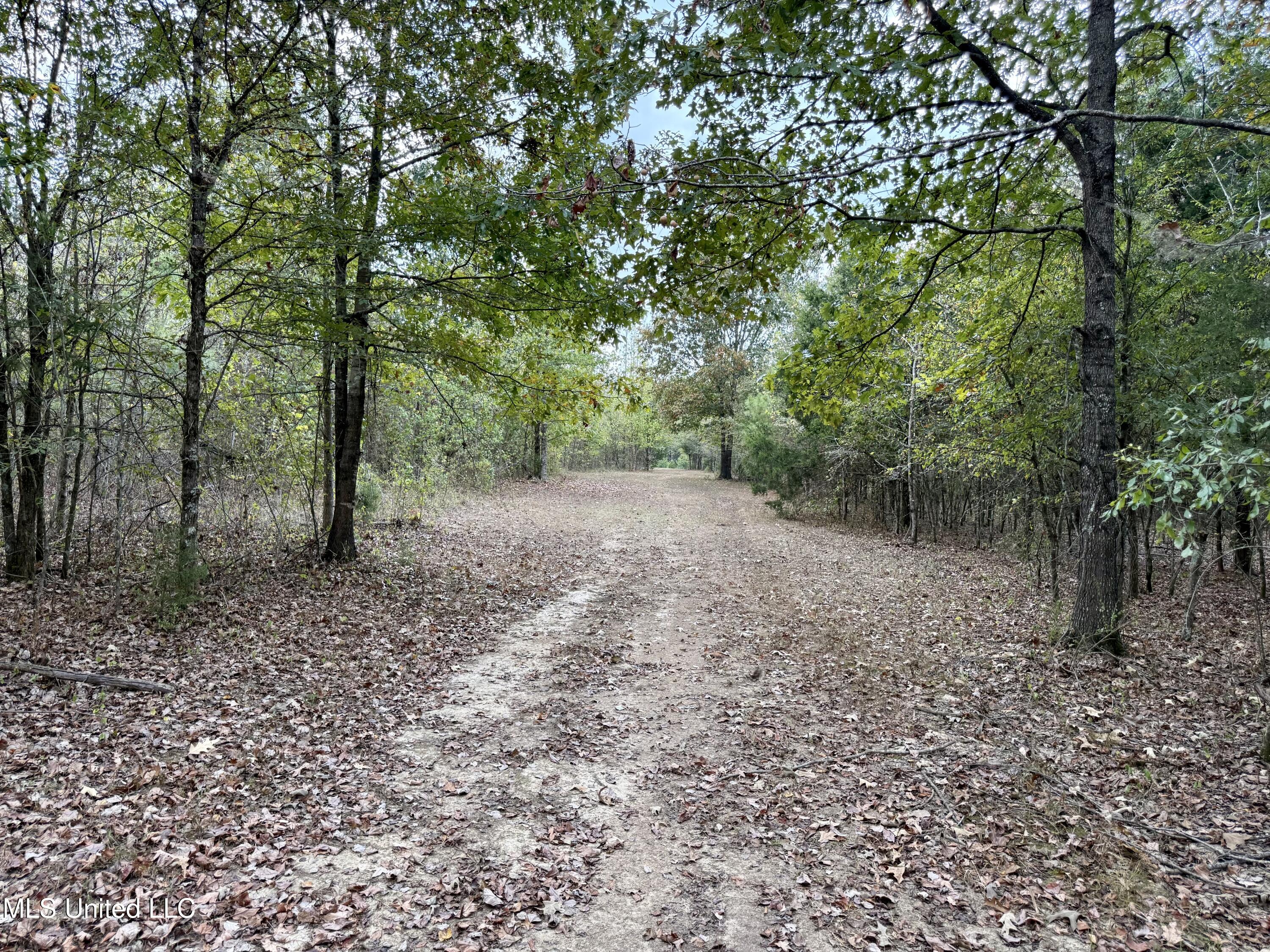 250 Mays Road Coldwater, MS 38618 - Photo 45 of 46 Photo Sep 18 2025, 12 33 36 PM