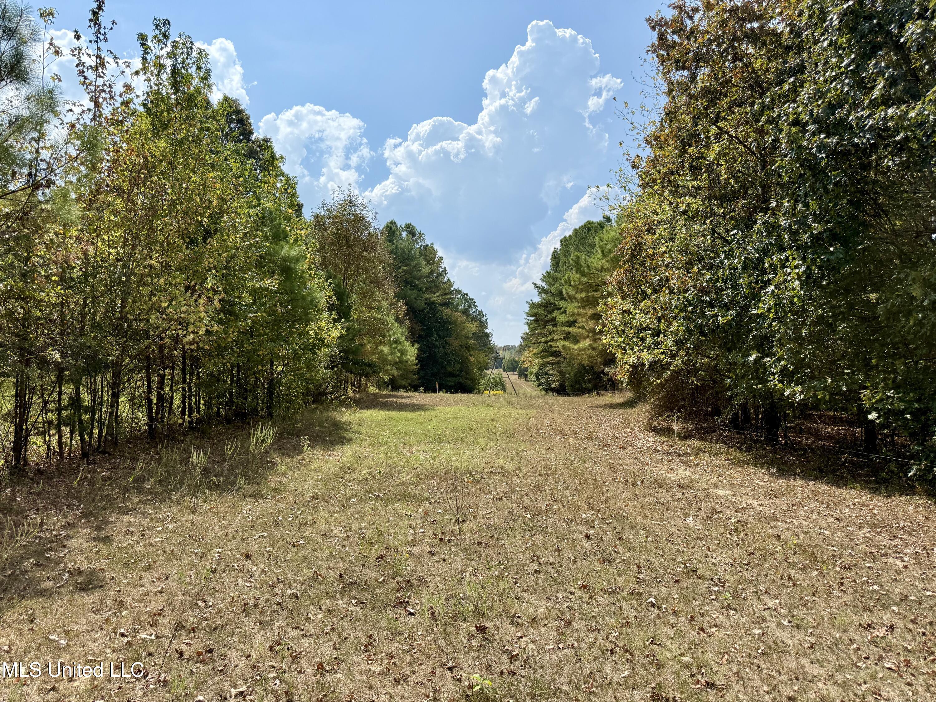 250 Mays Road Coldwater, MS 38618 - Photo 6 of 46 Photo Sep 18 2025, 12 18 54 PM