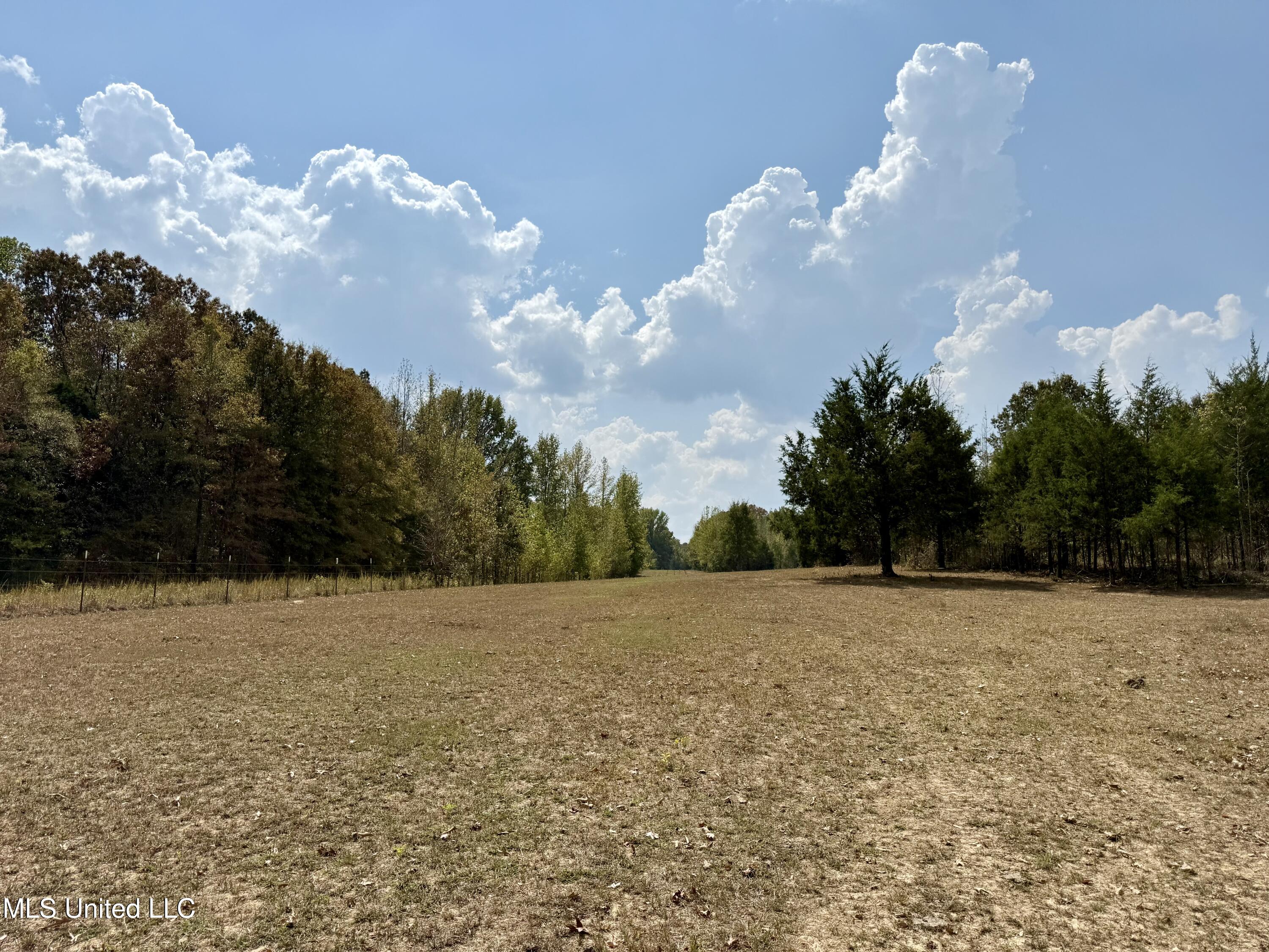 250 Mays Road Coldwater, MS 38618 - Photo 7 of 46 Photo Sep 18 2025, 12 20 33 PM