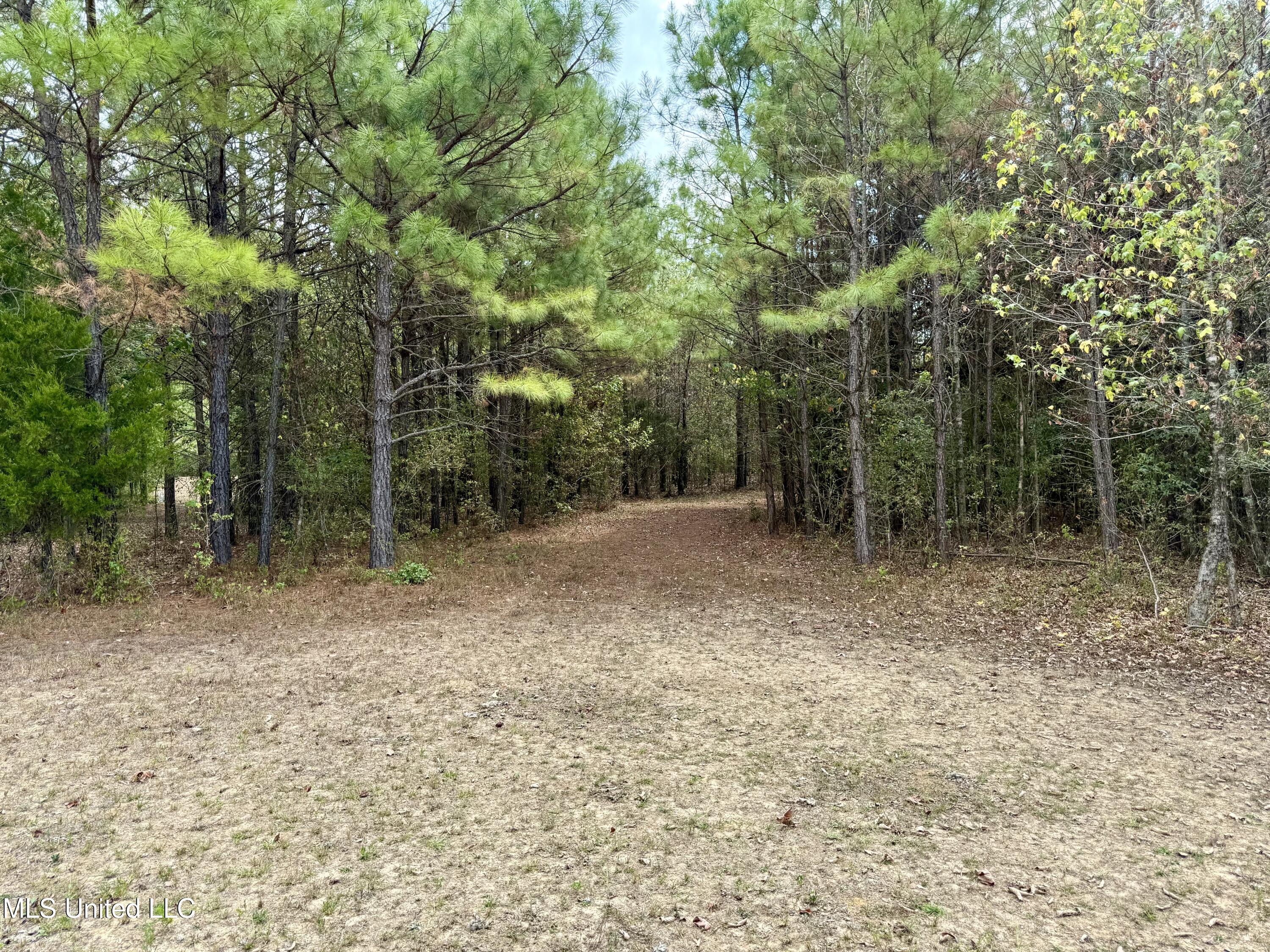 250 Mays Road Coldwater, MS 38618 - Photo 8 of 46 Photo Sep 18 2025, 12 27 26 PM