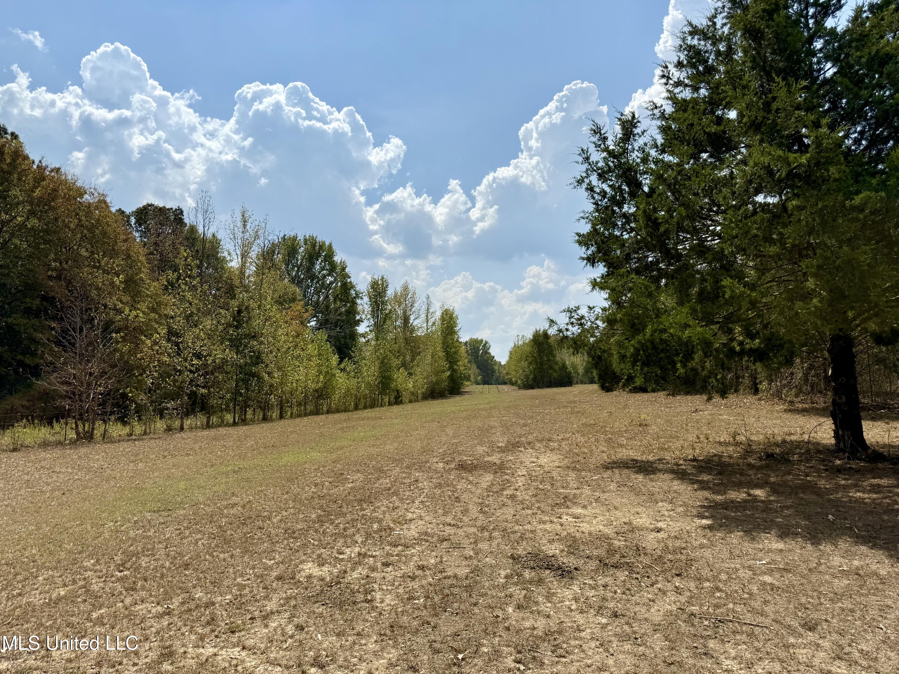 250 Mays Road Coldwater, MS 38618 - Photo 9 of 46 Photo Sep 18 2025, 12 20 51 PM