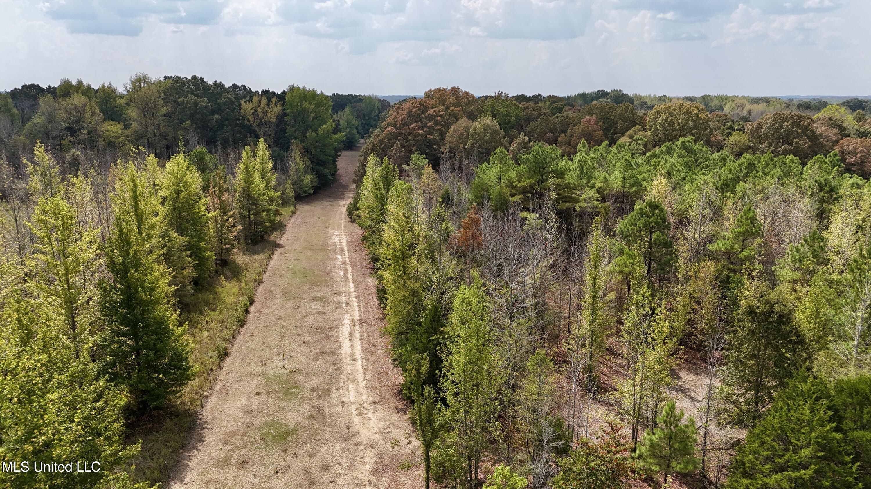 250 Mays Road Coldwater, MS 38618 - Photo 10 of 46 Photo Sep 18 2025, 12 30 05 PM