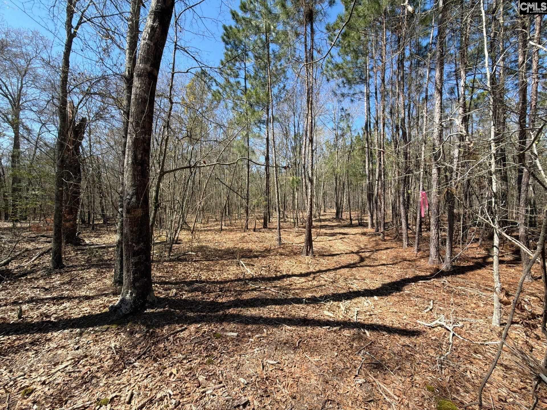 9 Boise Cascade Road, Unit BHL 9 Bethune, SC 29009 - Photo 22 of 44