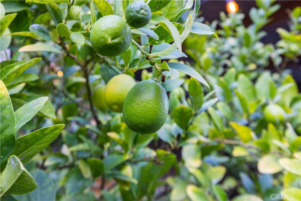 28537 Vista Del Rio Drive Valencia, CA 91354 - Photo 48 of 53