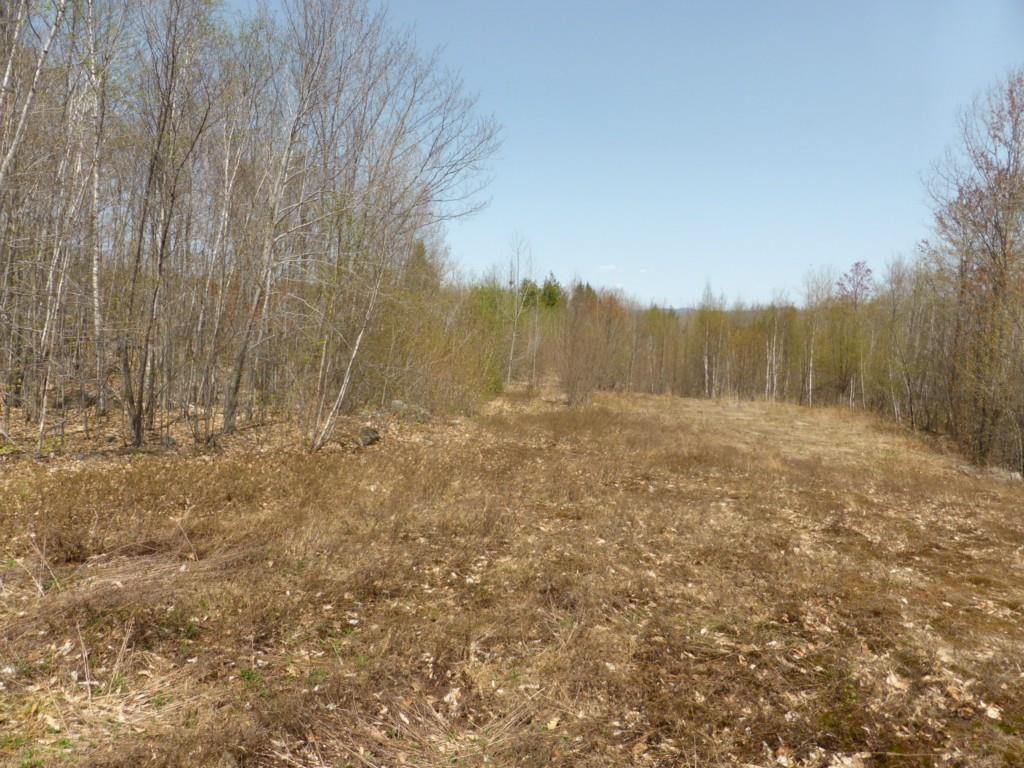 0 Eagle Crestview Lane Sebago, ME 04029 - Photo 10 of 11 Photo