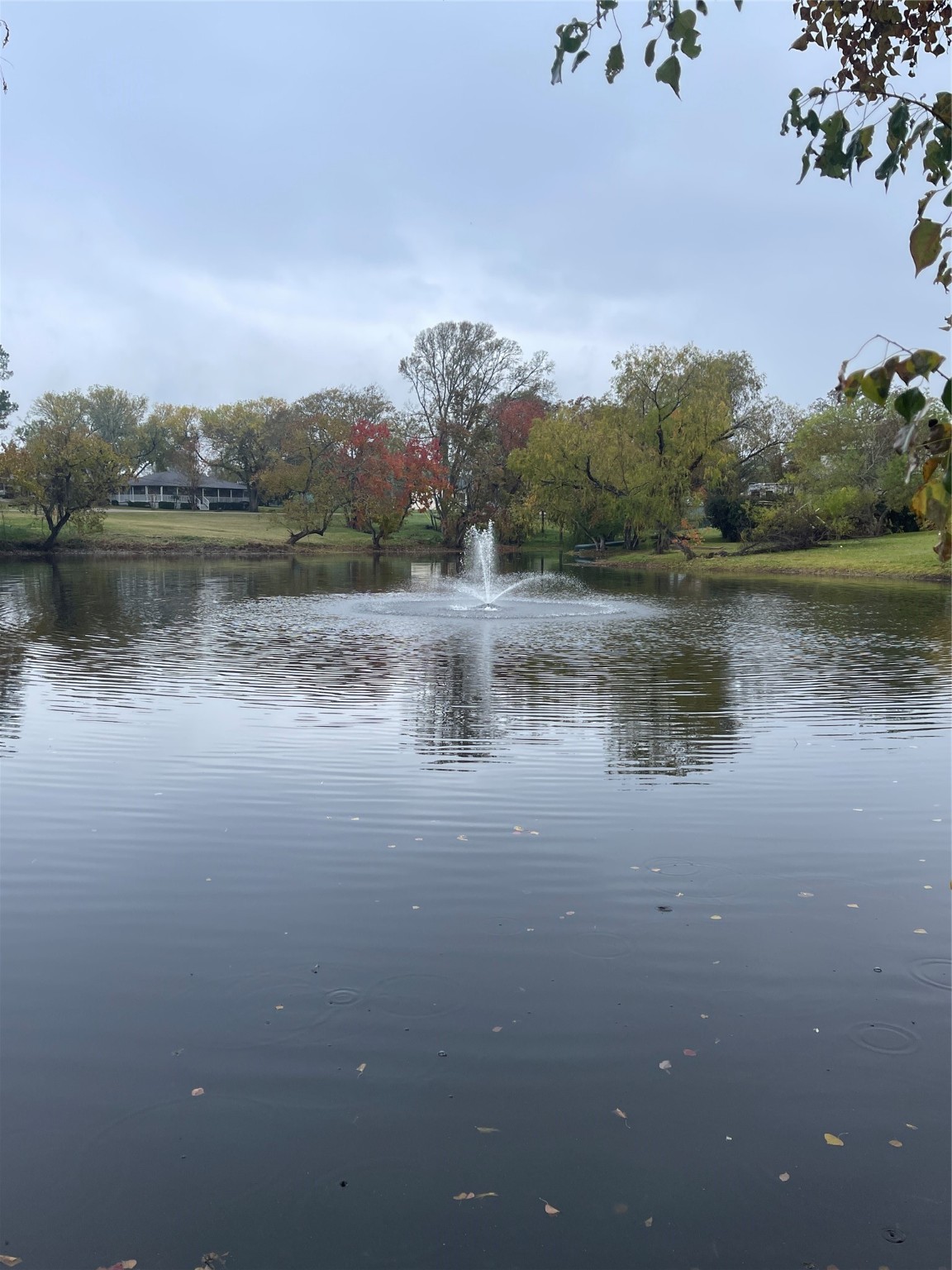 Tbd Highcrest Drive Point Blank, TX 77364 - Photo 8 of 9