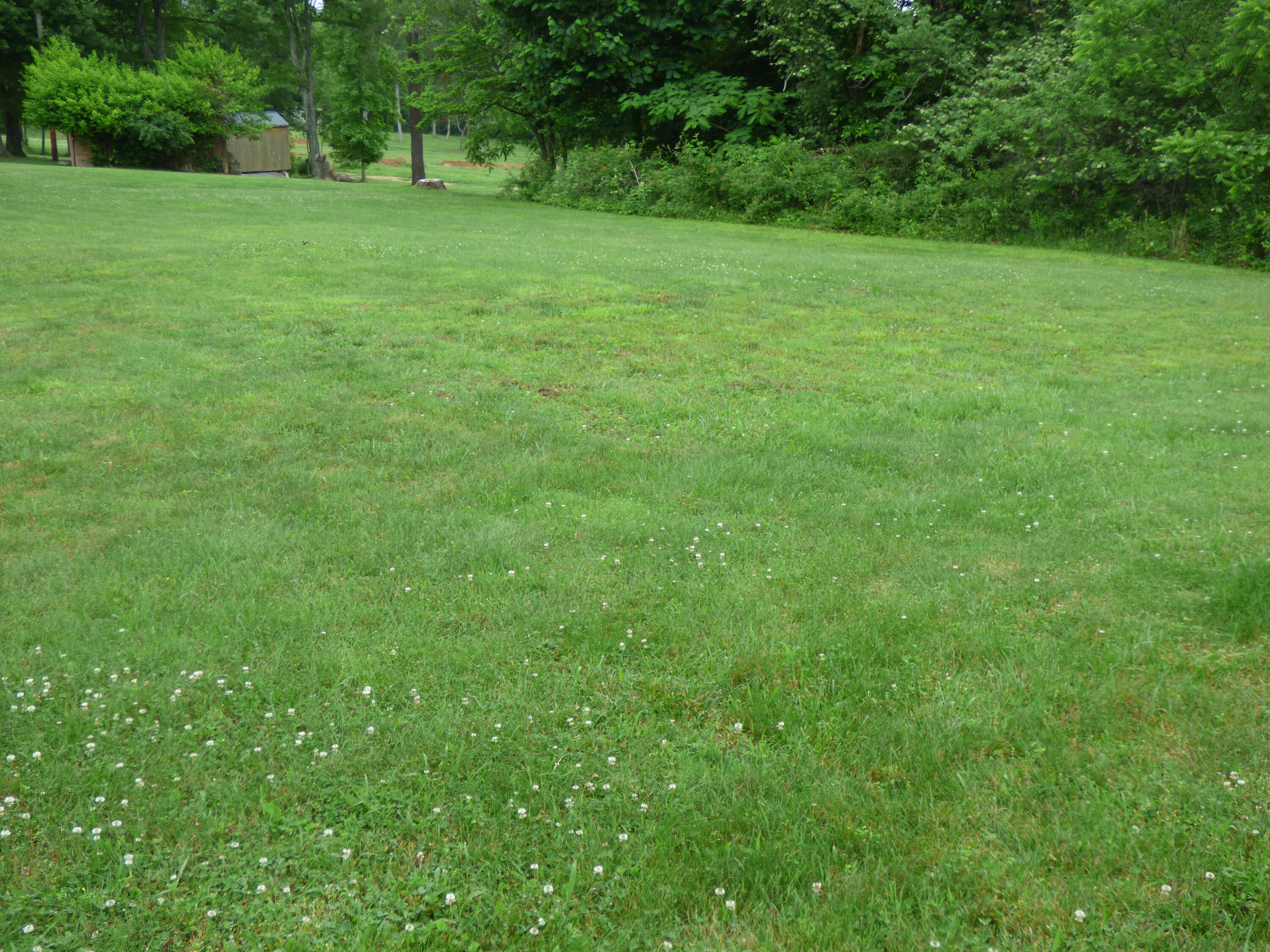 160 Drew Howard Road Crossville, TN 38558 - Photo 23 of 27 P1040832