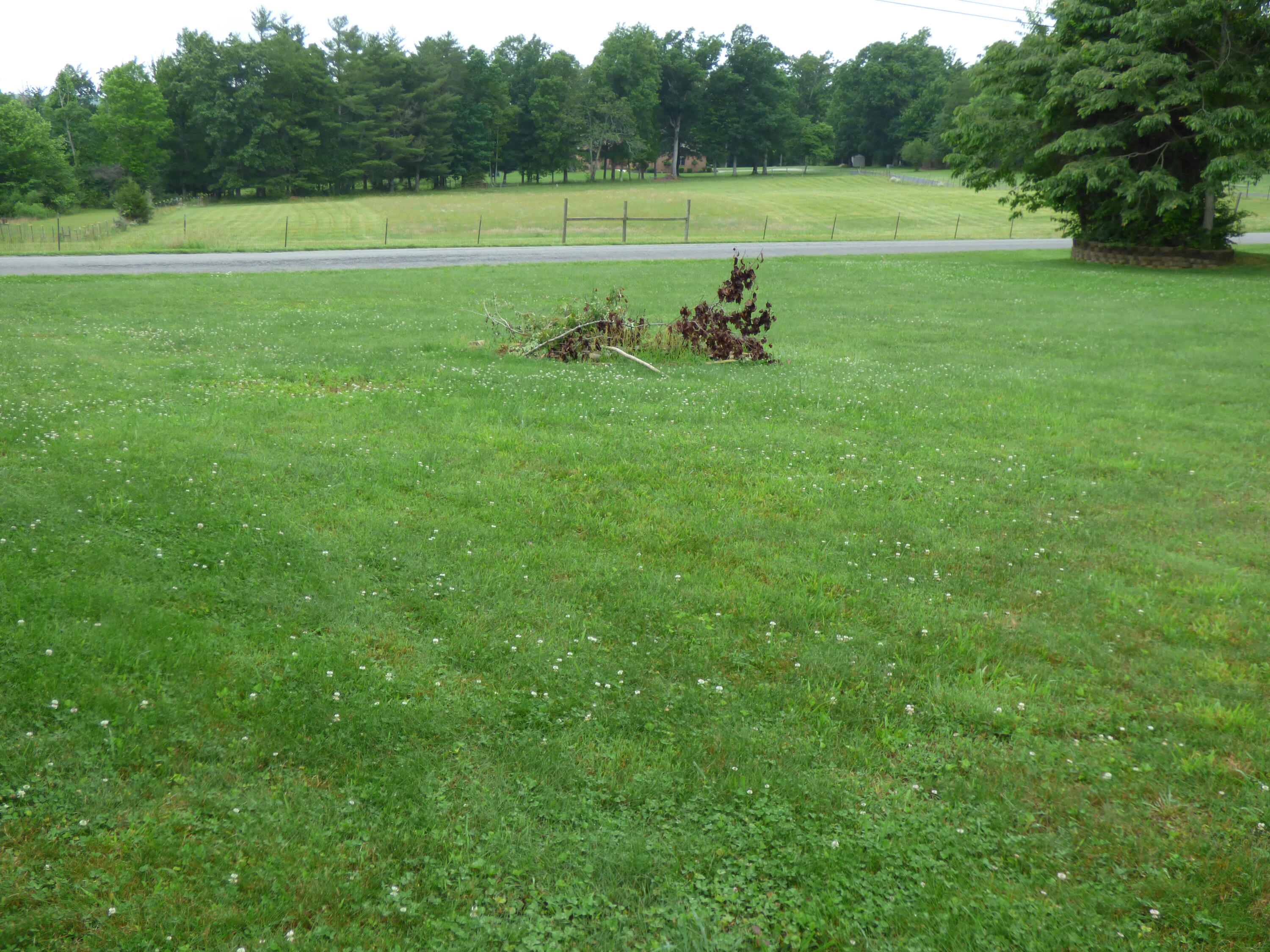 160 Drew Howard Road Crossville, TN 38558 - Photo 24 of 27 P1040833