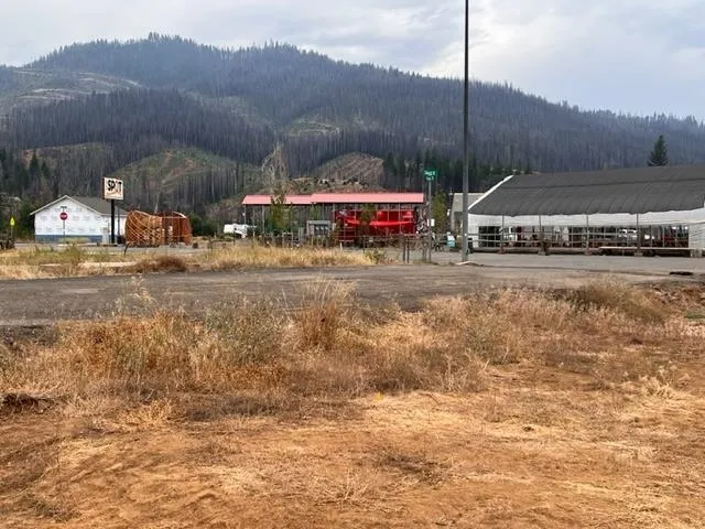 $19,000 | 100 Pine Street, Greenville, CA 95947