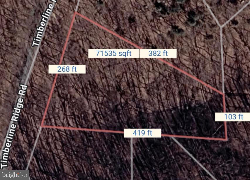 0 Timberline Ridge Road Front Royal, VA 22630 - Photo 2 of 23