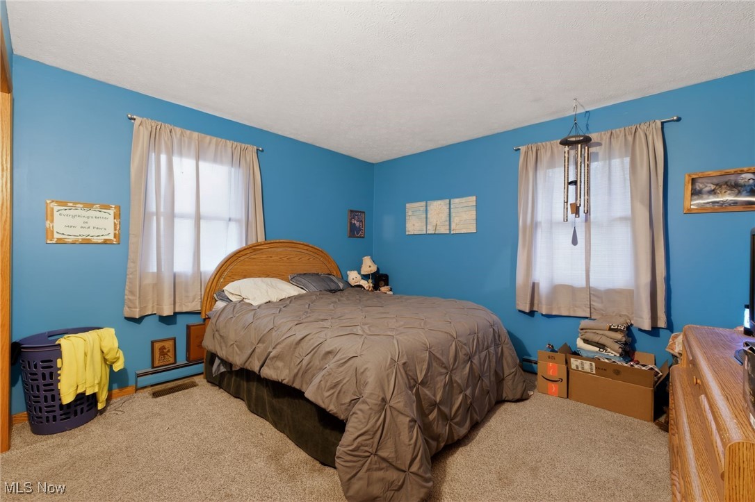 72631 Broadhead Road Kimbolton, OH 43749 - Photo 18 of 21 Carpeted bedroom with multiple windows and baseboard heating