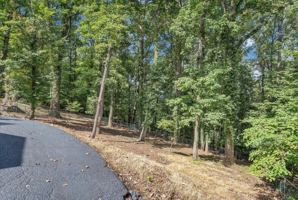 3135 West Ridge Road Southwest Roanoke, VA 24014 - Photo 48 of 50 a backyard of a house with lots of green space