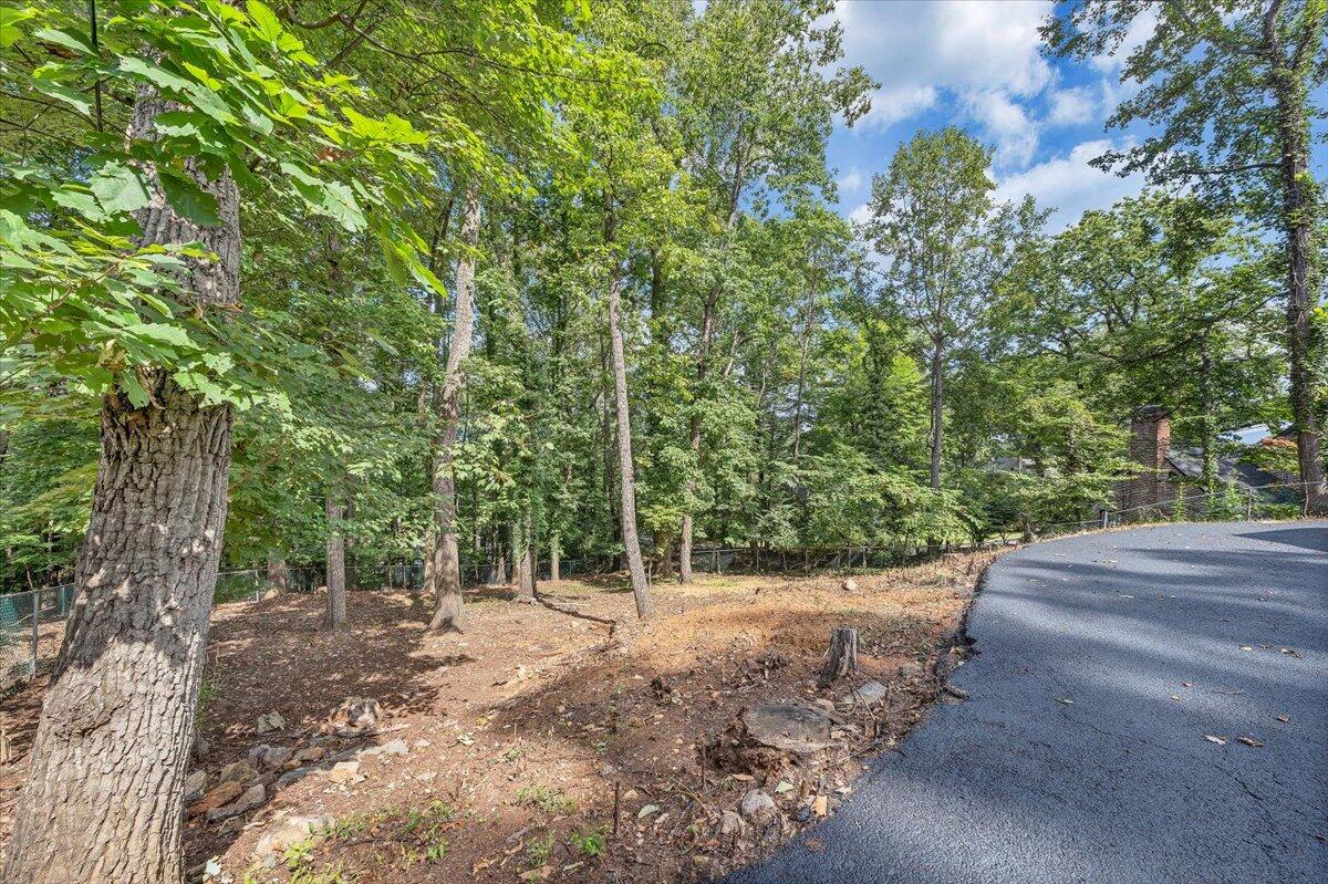 3135 West Ridge Road Southwest Roanoke, VA 24014 - Photo 49 of 50 a view of a yard with plants and large trees