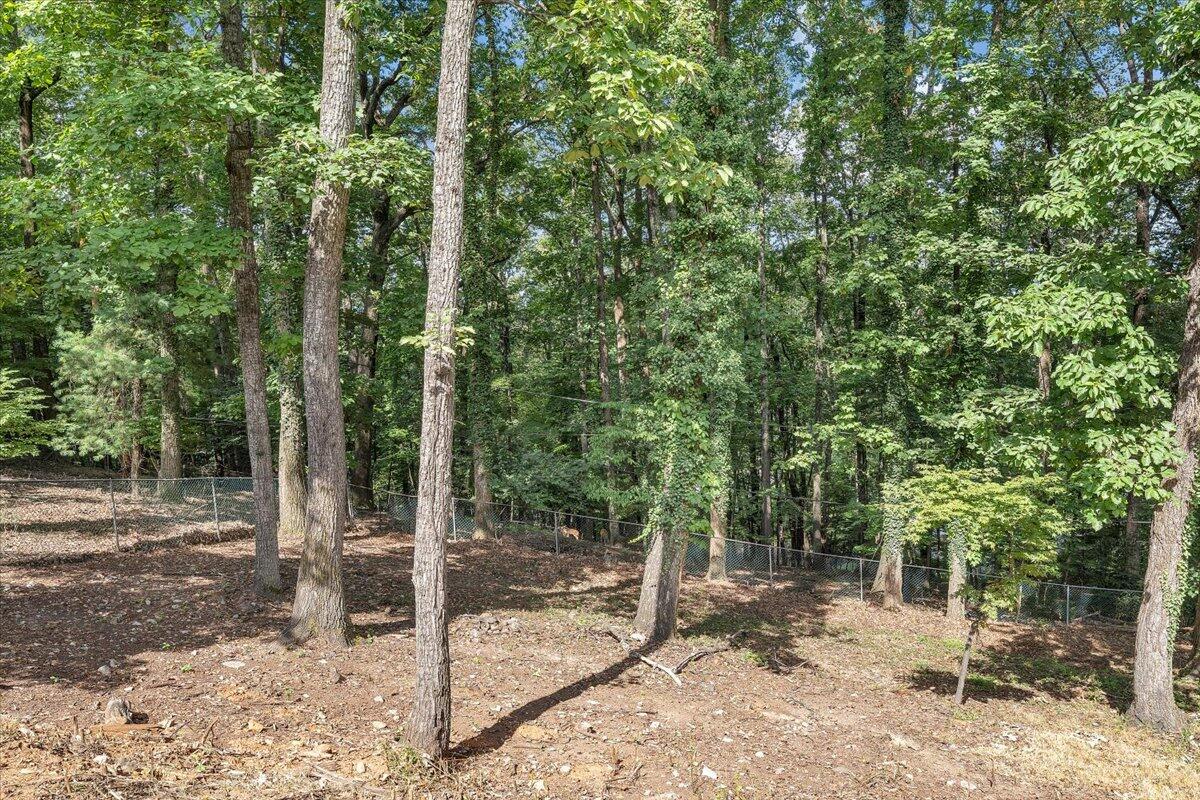 3135 West Ridge Road Southwest Roanoke, VA 24014 - Photo 50 of 50 a view of a forest filled with trees