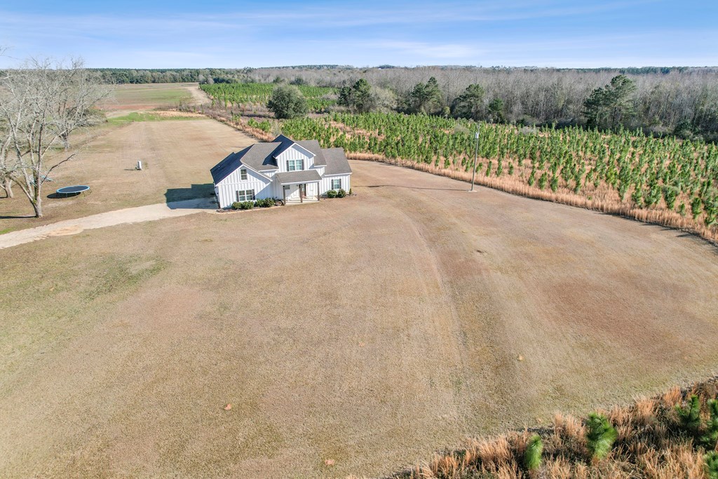 649 Edgar Smith Road Ashford, AL 36312 - Photo 59 of 68