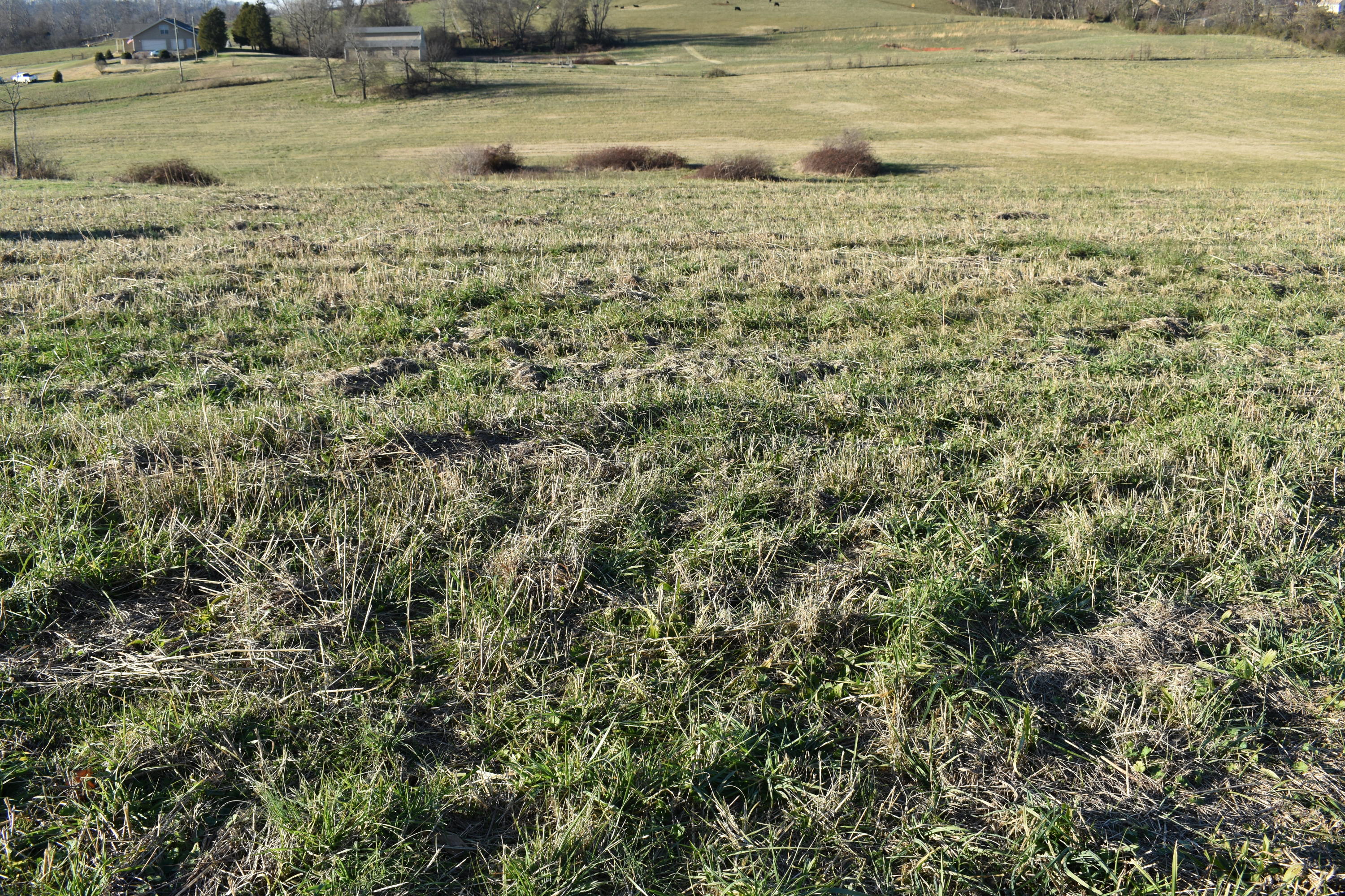Lot 8 McCleary Road Sevierville, TN 37876 - Photo 1 of 2 DSC_0003