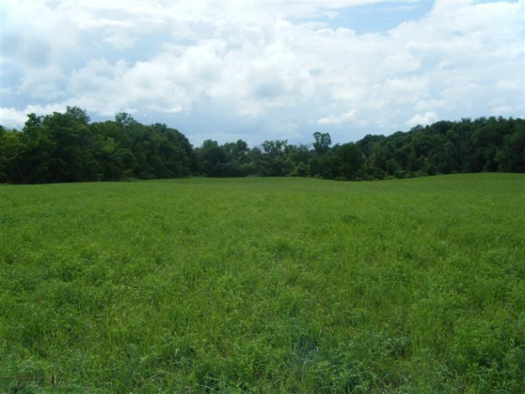 11620 South Tripp Road Waldron, MI 49288 - Photo 13 of 14 Additional Photo